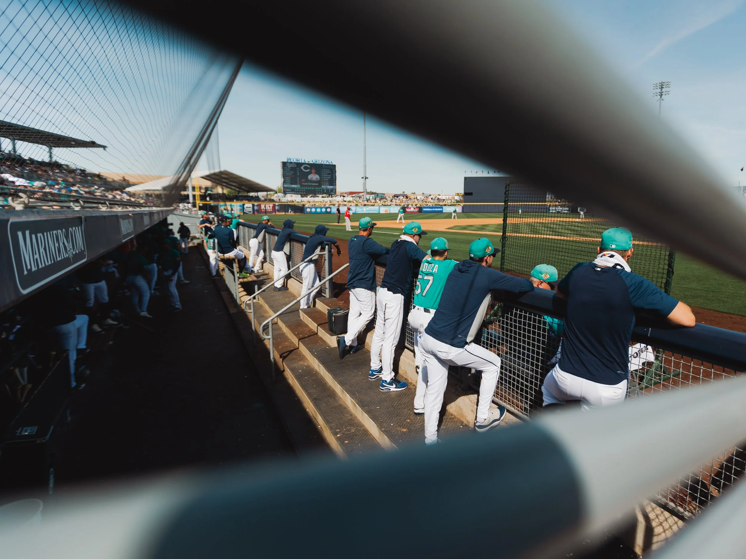 Spring Training, Sunlight, and the Reminder We All Need