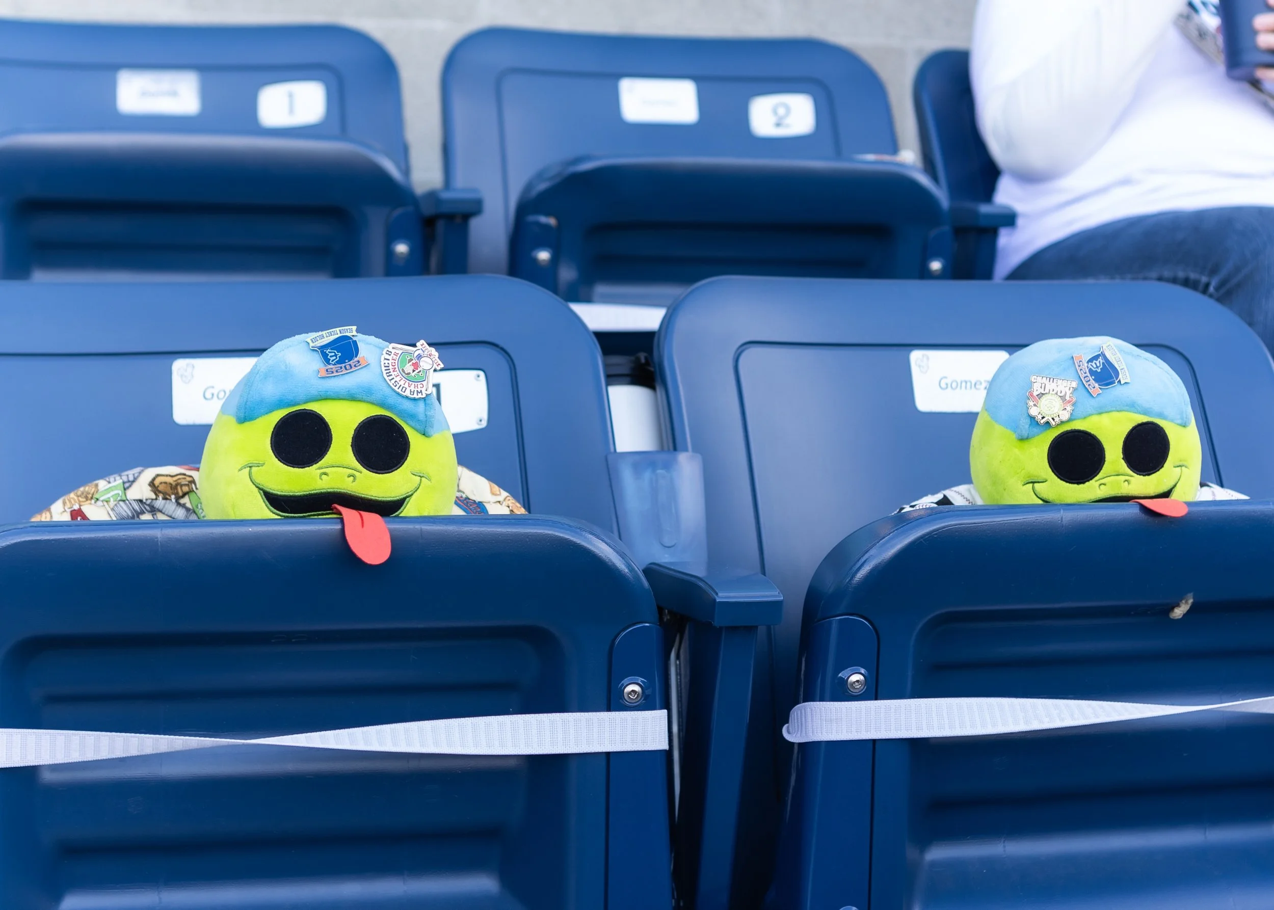 aquasox-milb-baseball-tayler-berard-45.jpg