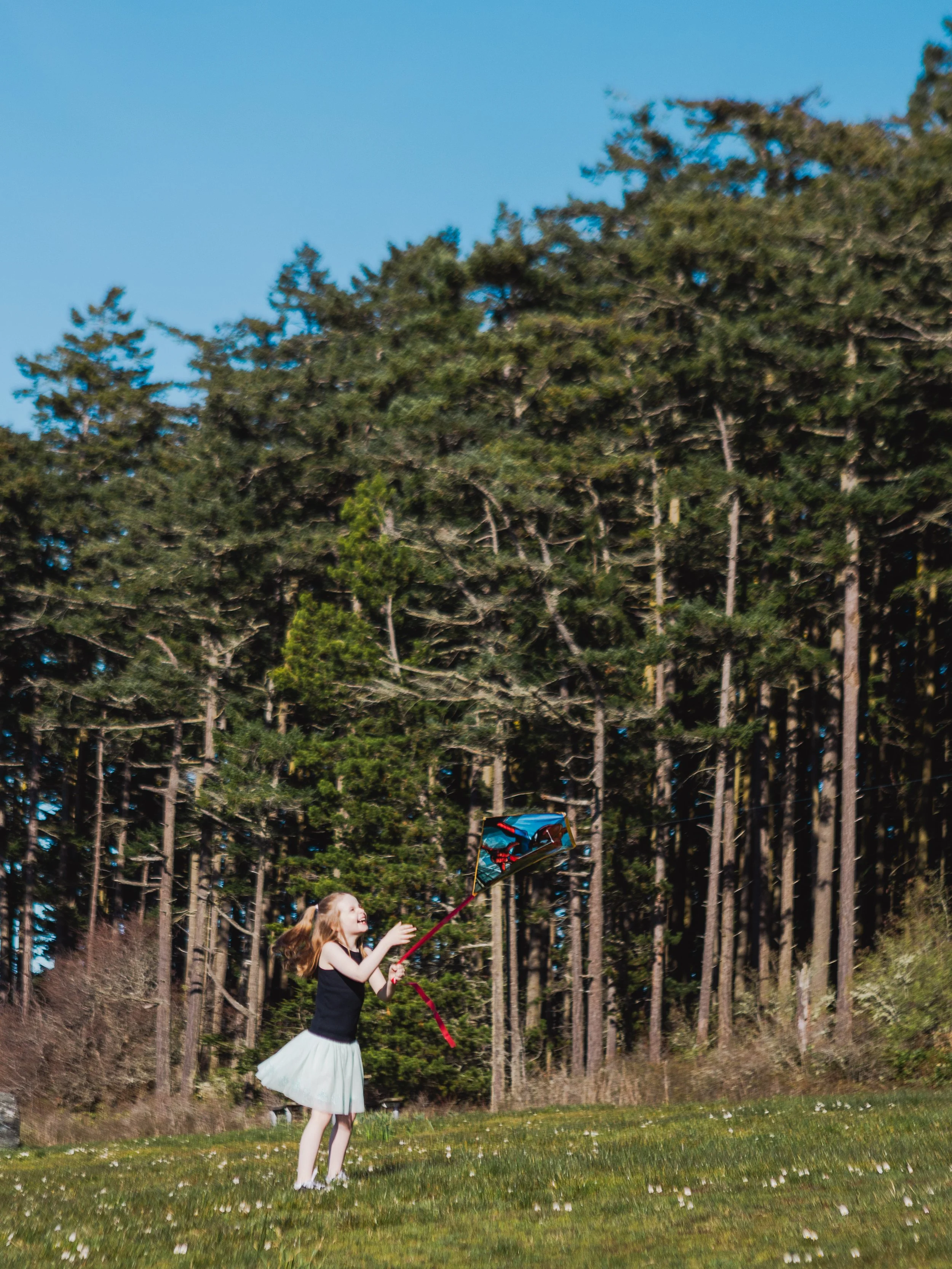 washington+park+family+tayler+berard+creative143.jpg