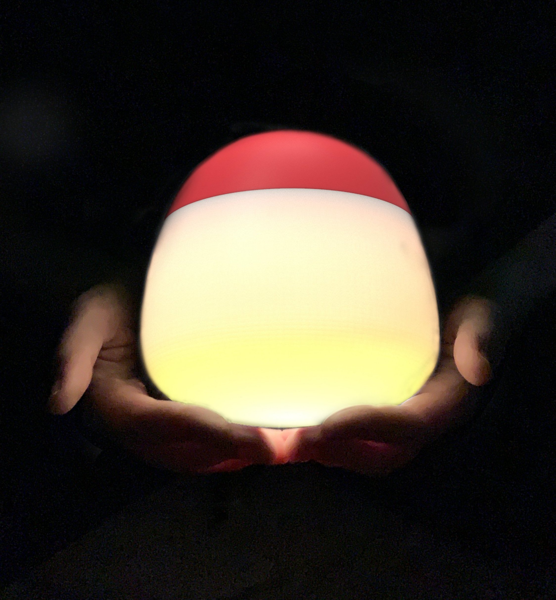 lamp-in-hands.jpg