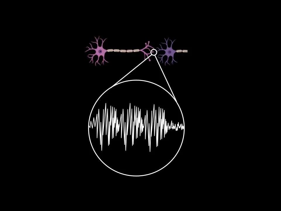 Building devices that unite cells and sensors