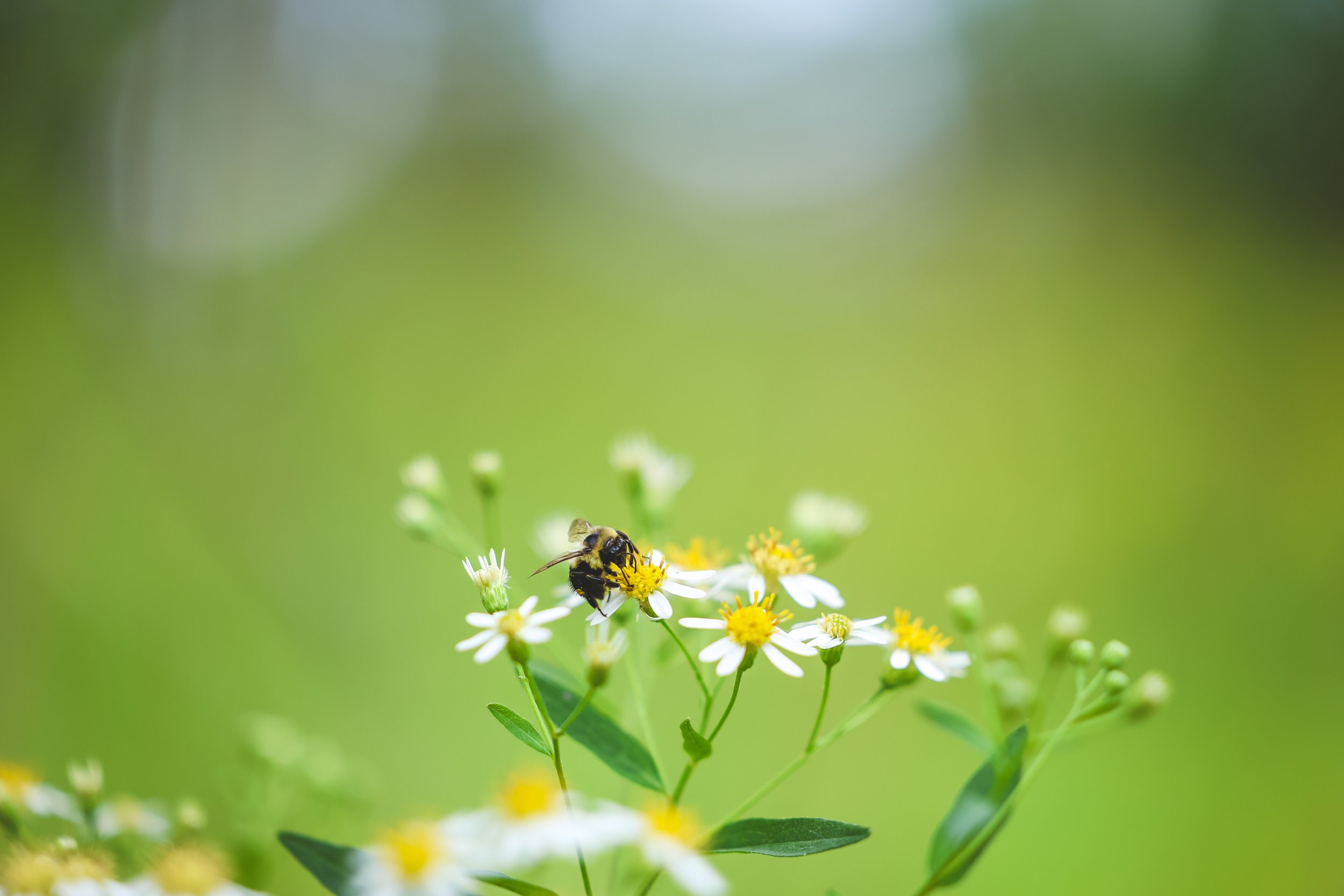 8F8A9422.jpg
