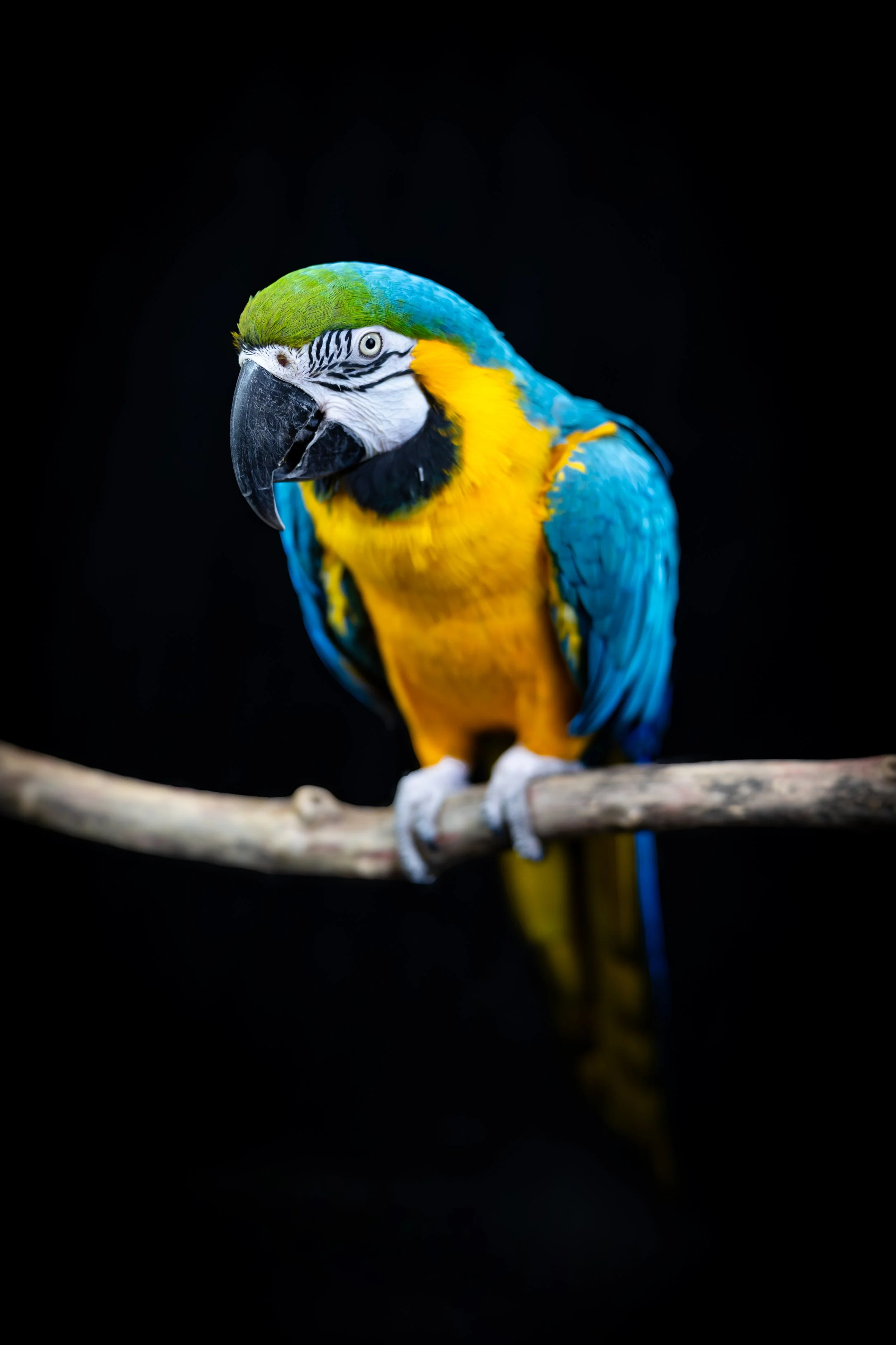 8F8A9668-2.jpg