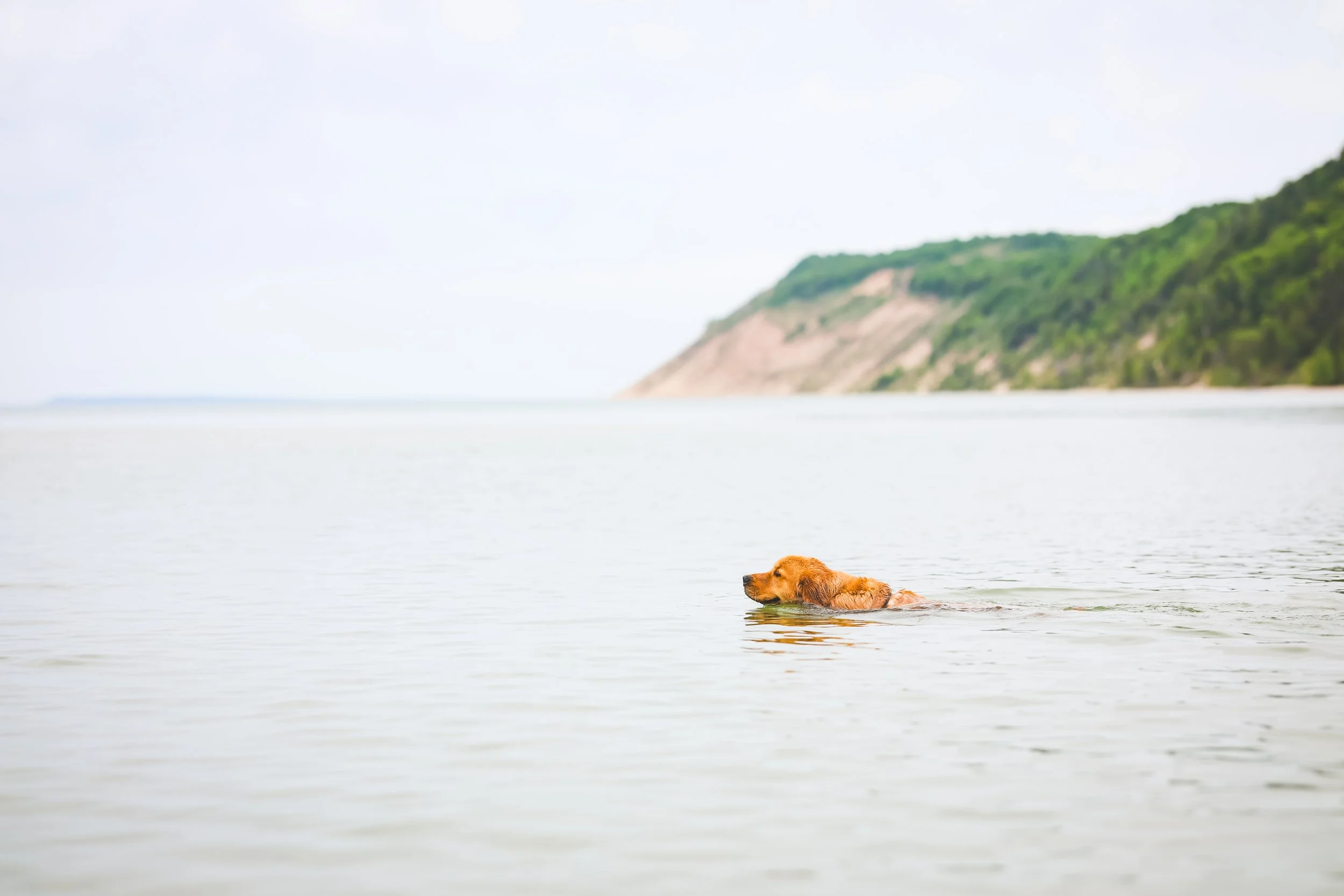 8F8A7713.jpg