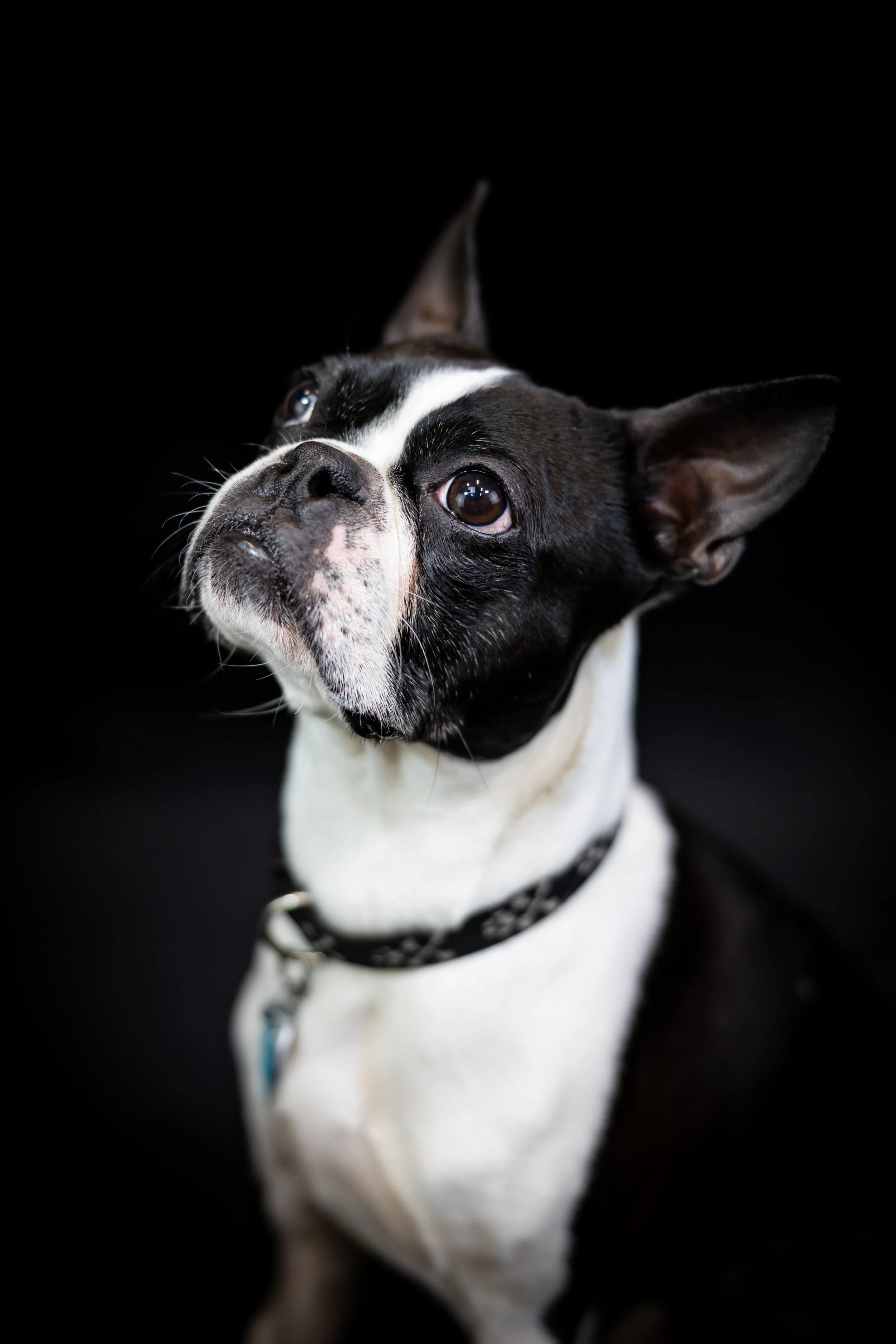 8F8A9123-2.jpg