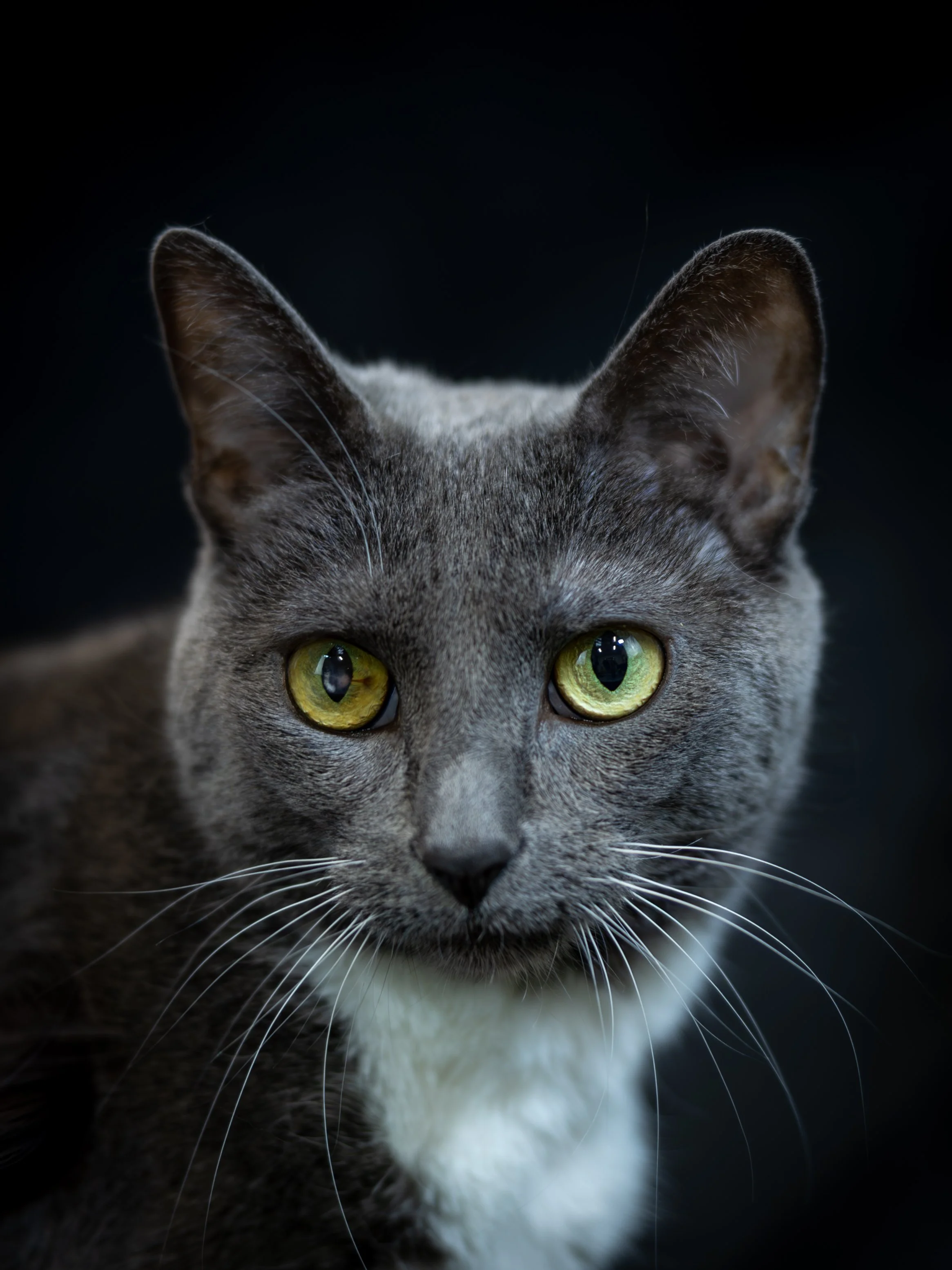 8F8A8691-Enhanced-NR.jpg