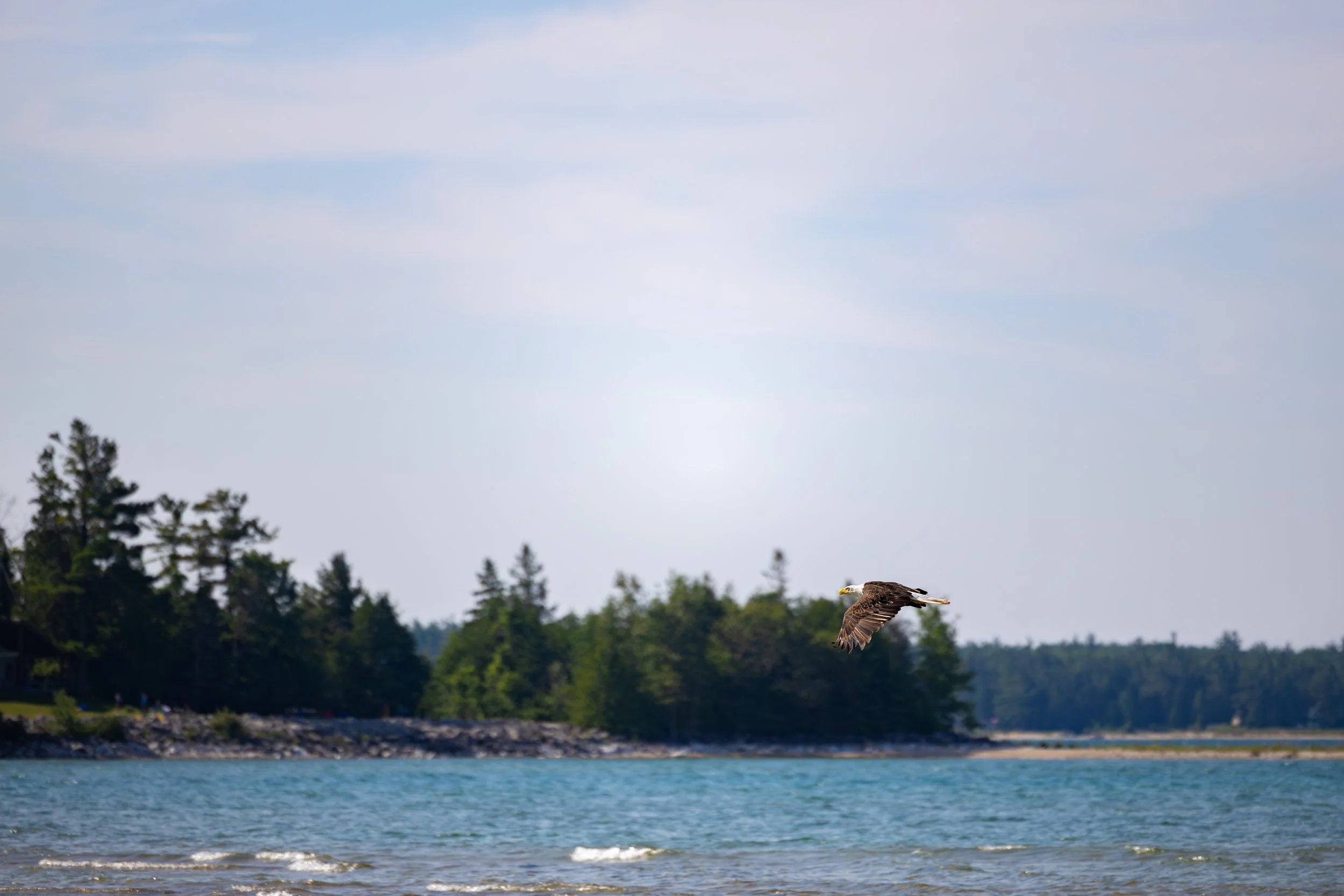 8F8A4193-Enhanced-NR.jpg