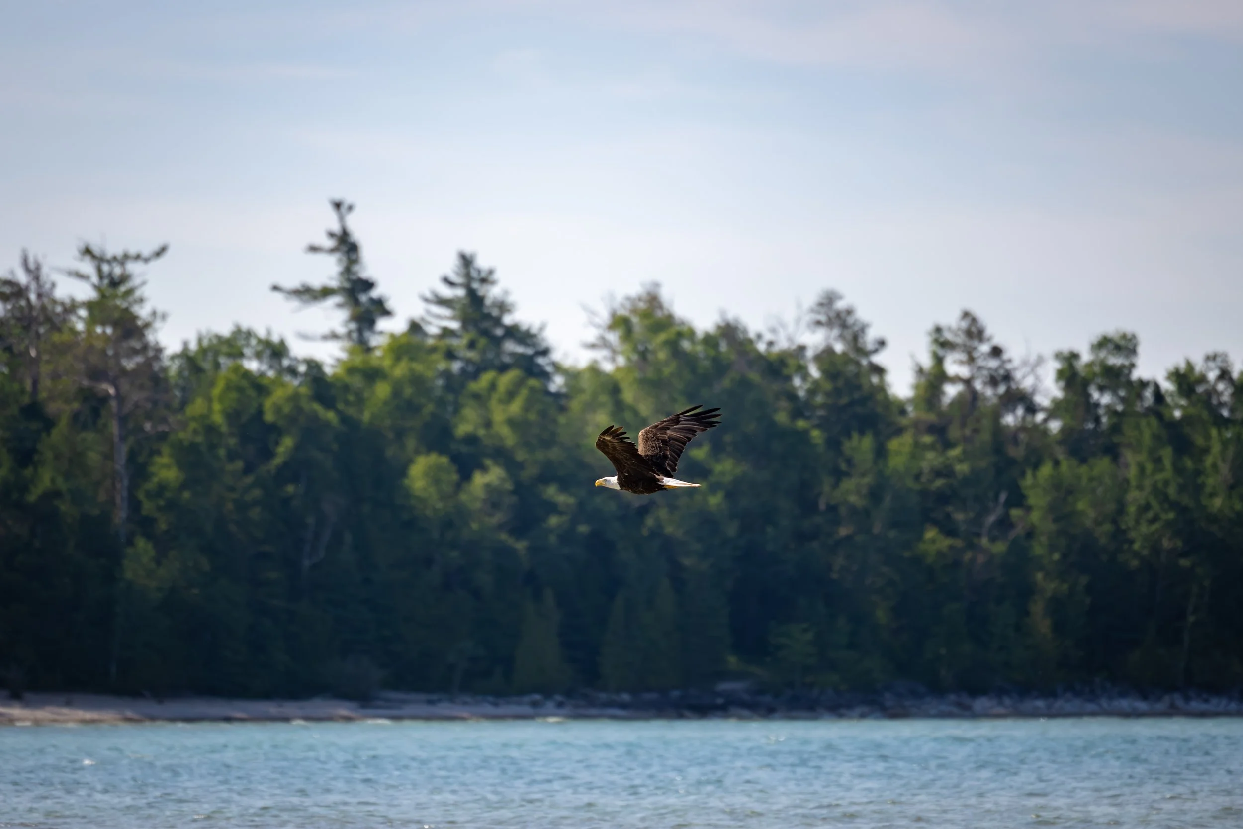8F8A4197-Enhanced-NR.jpg