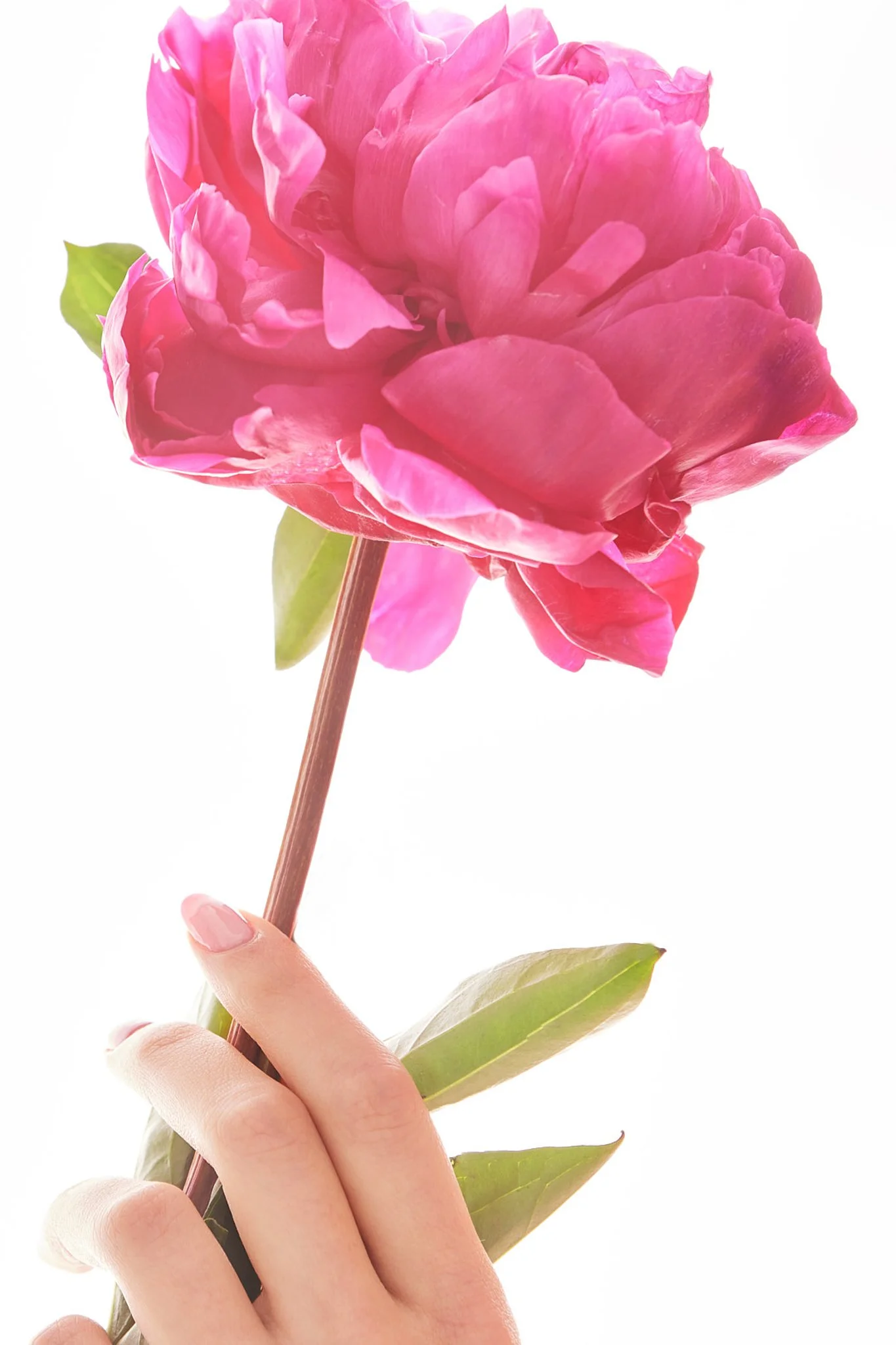 12_12_22_Rebecca_Sorkin_00611_social_web.jpg