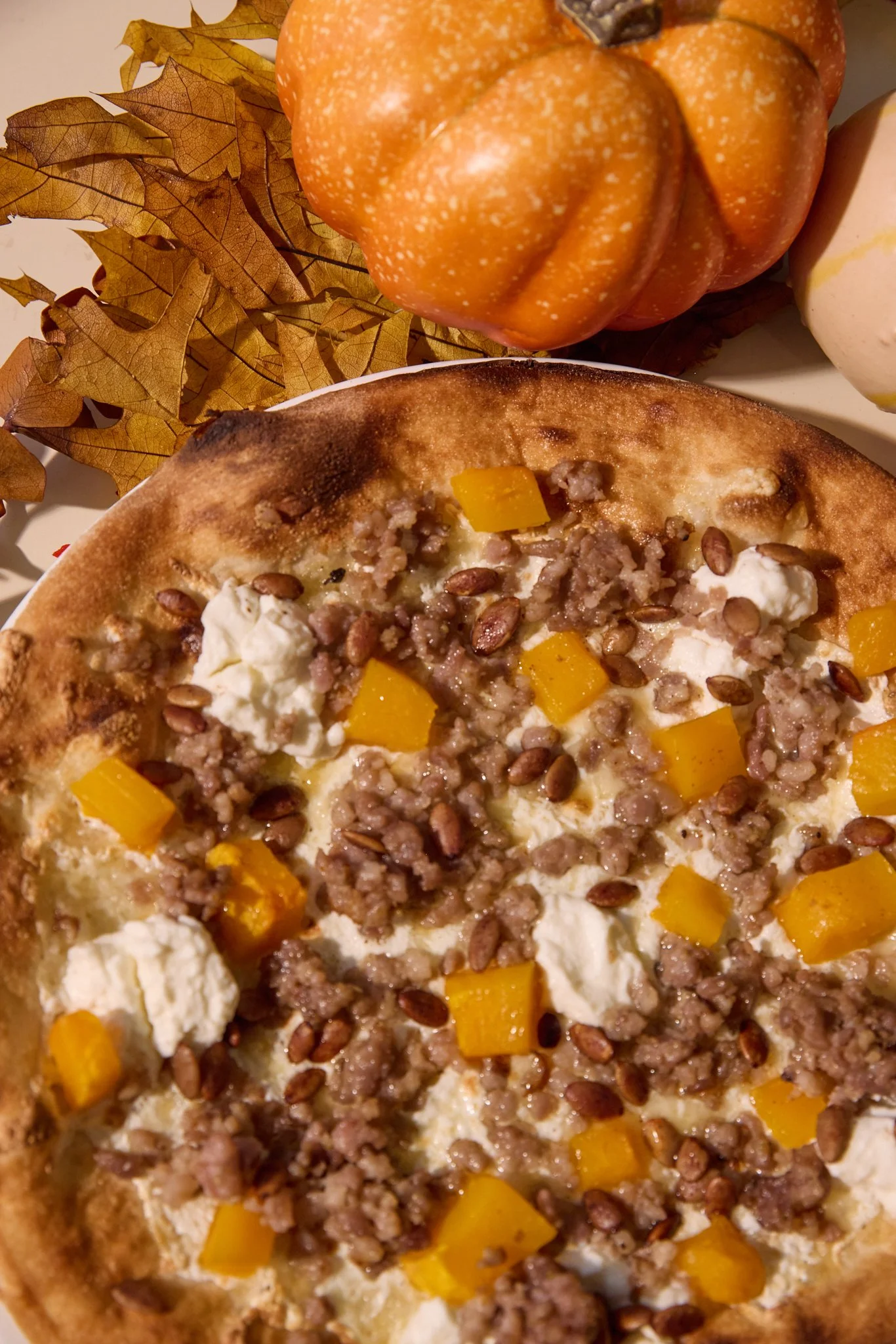 24_09_13_mangia_57_fall_0181_web.jpg