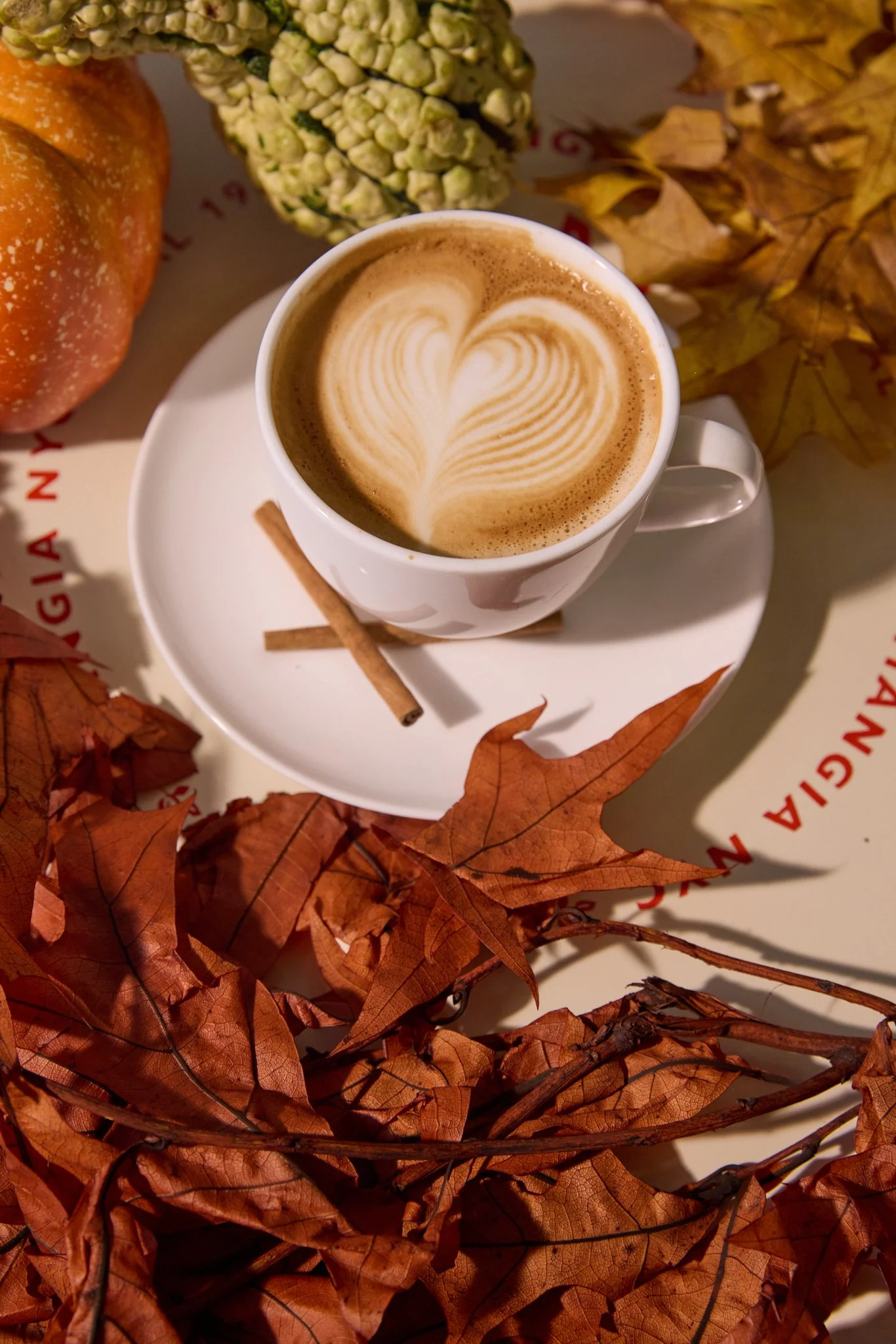 24_09_13_mangia_57_fall_0157_web.jpg