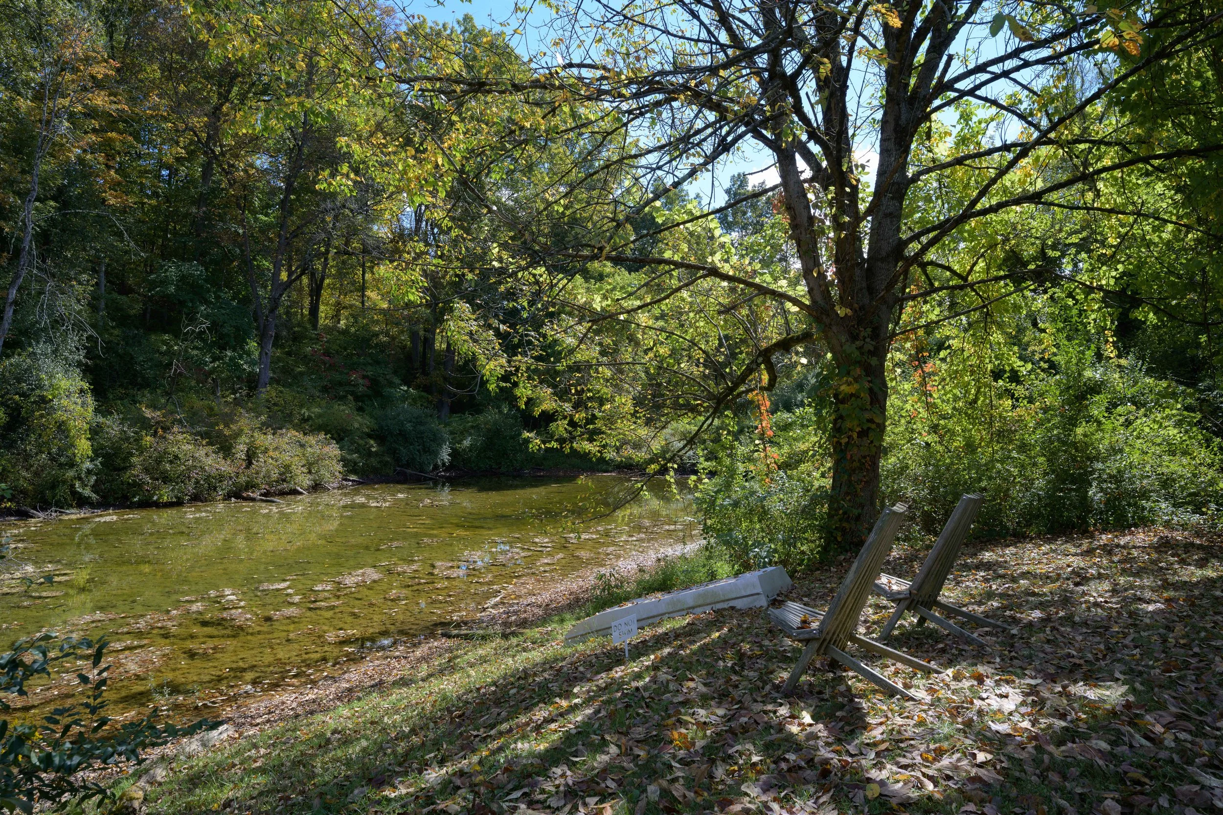 DSC_0895.jpg