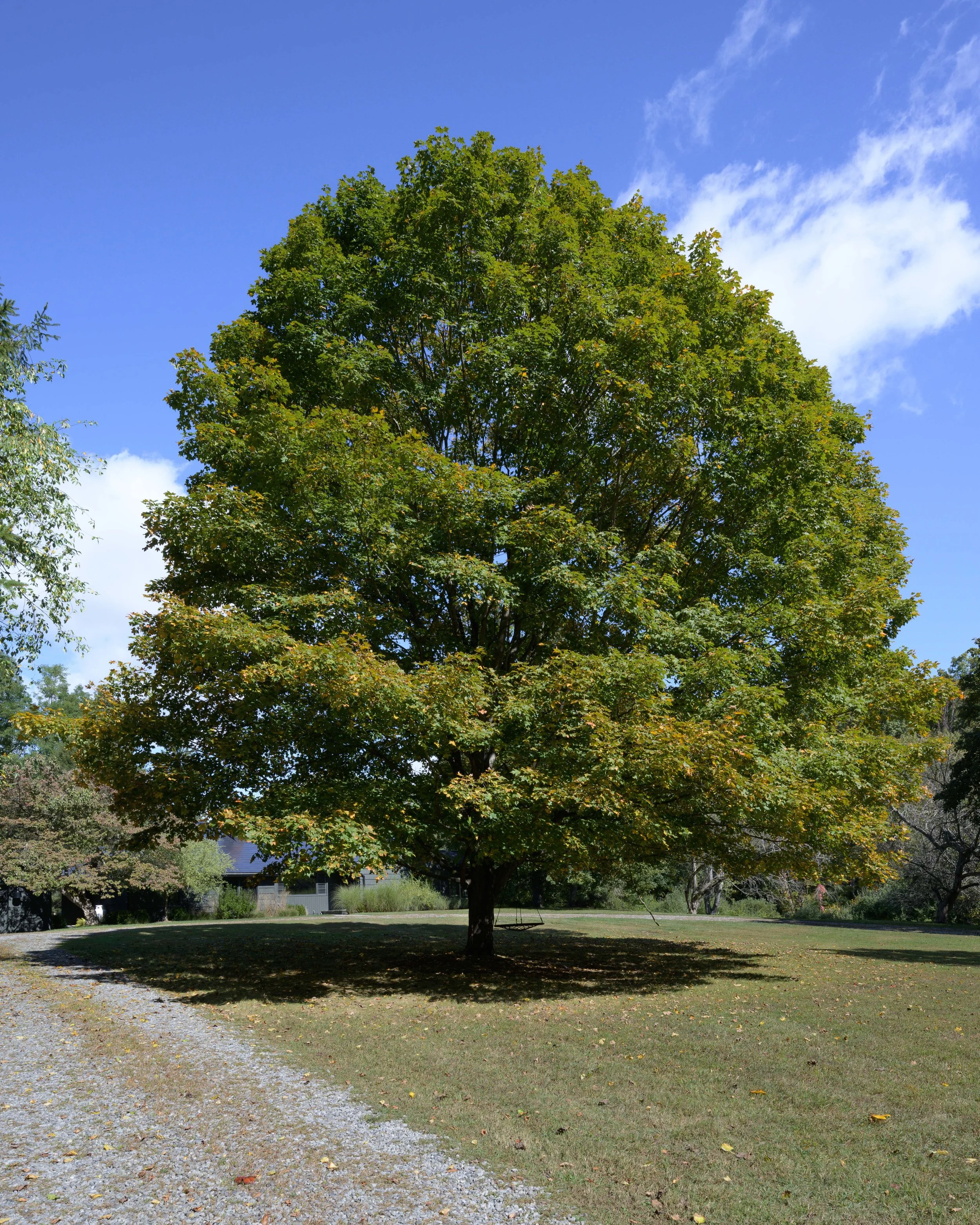 DSC_0843.jpg