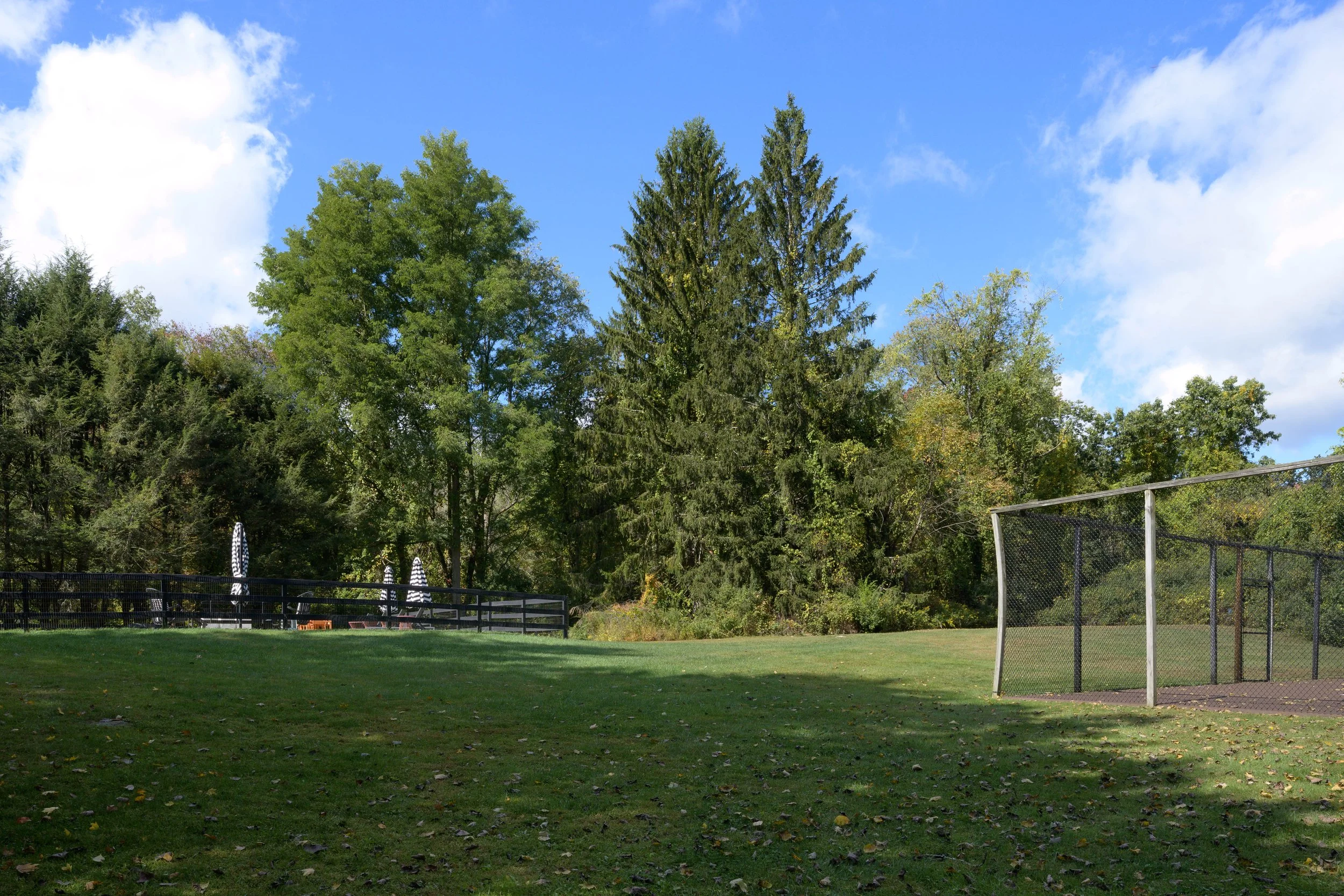 DSC_0902.jpg