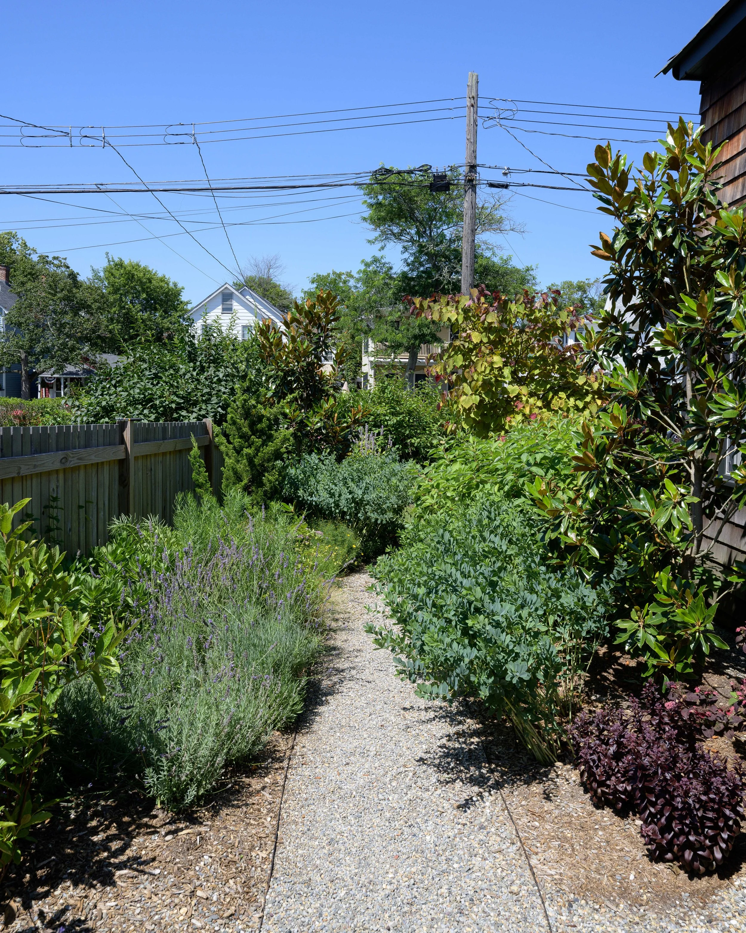 DSC_8034.jpg