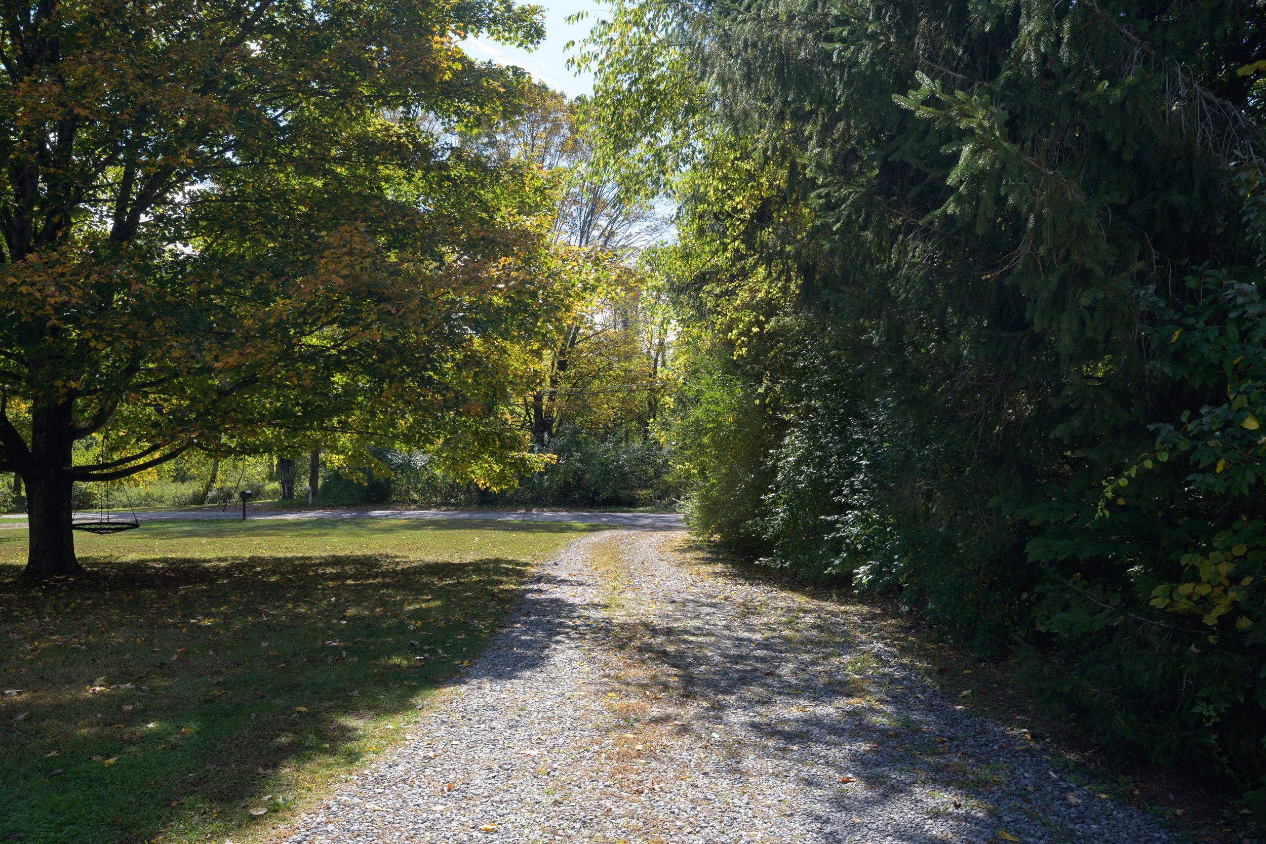 DSC_0880.jpg