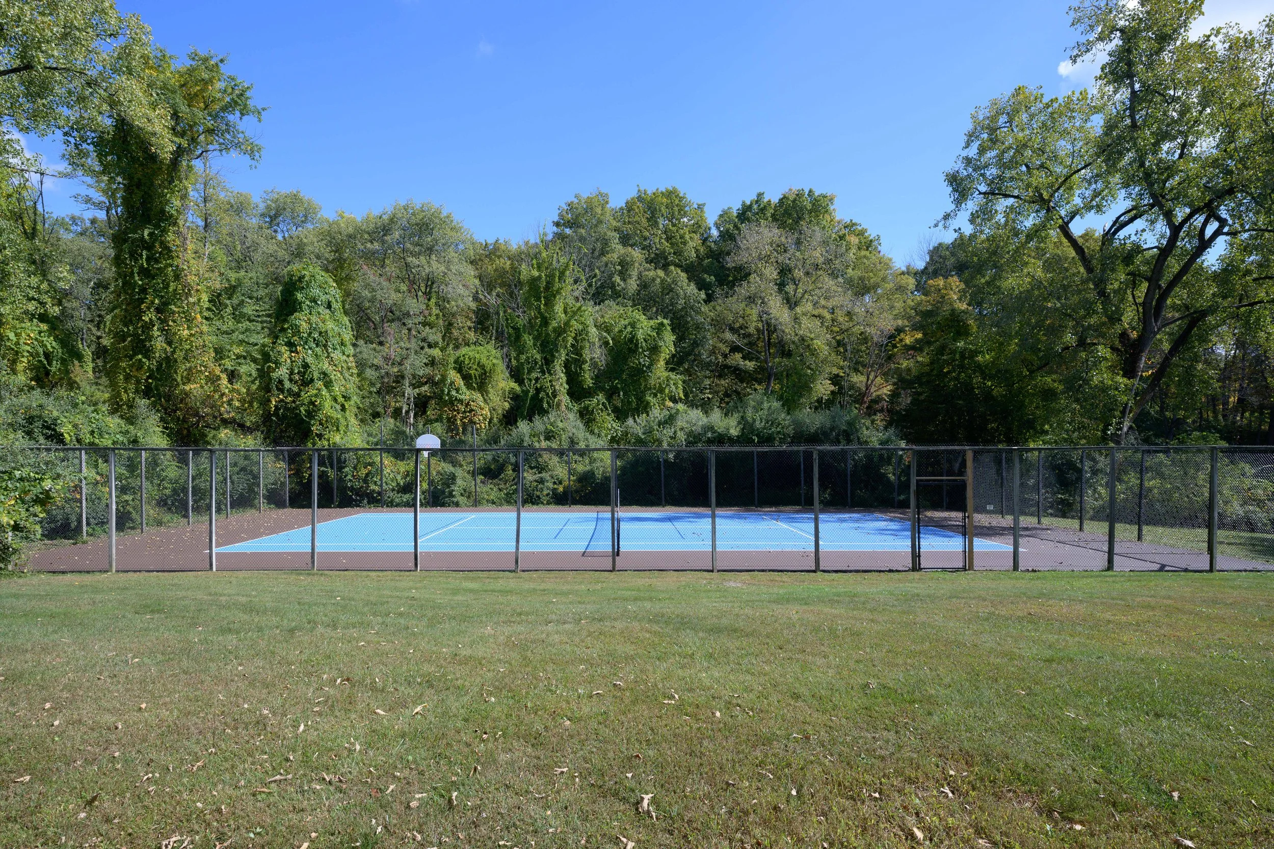 DSC_0984.jpg
