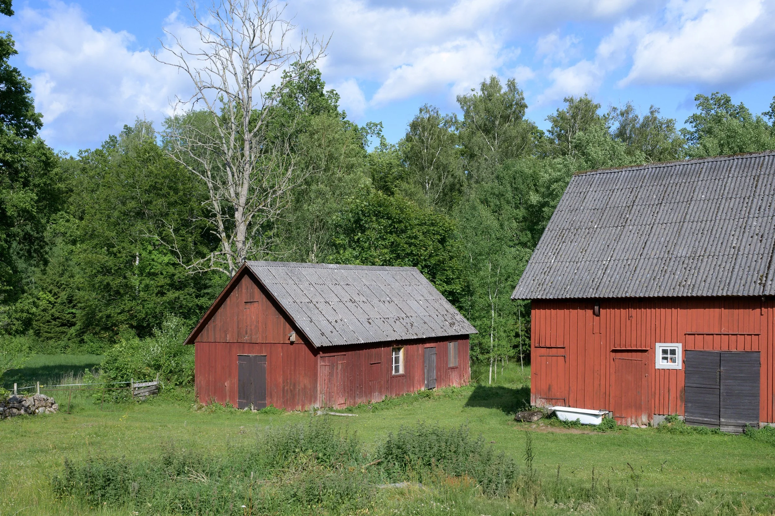 DSC_3640.jpg