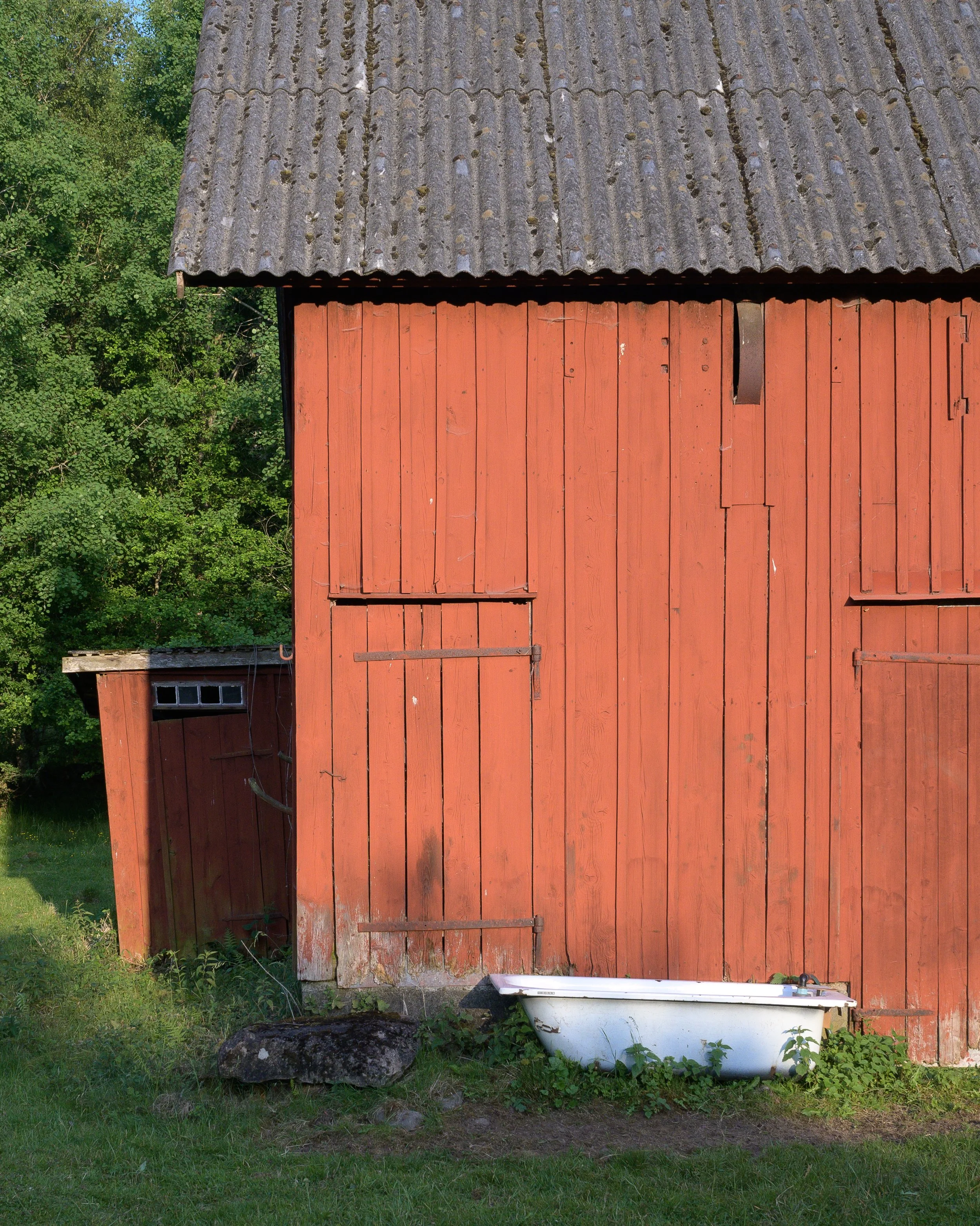 DSC_3295.jpg