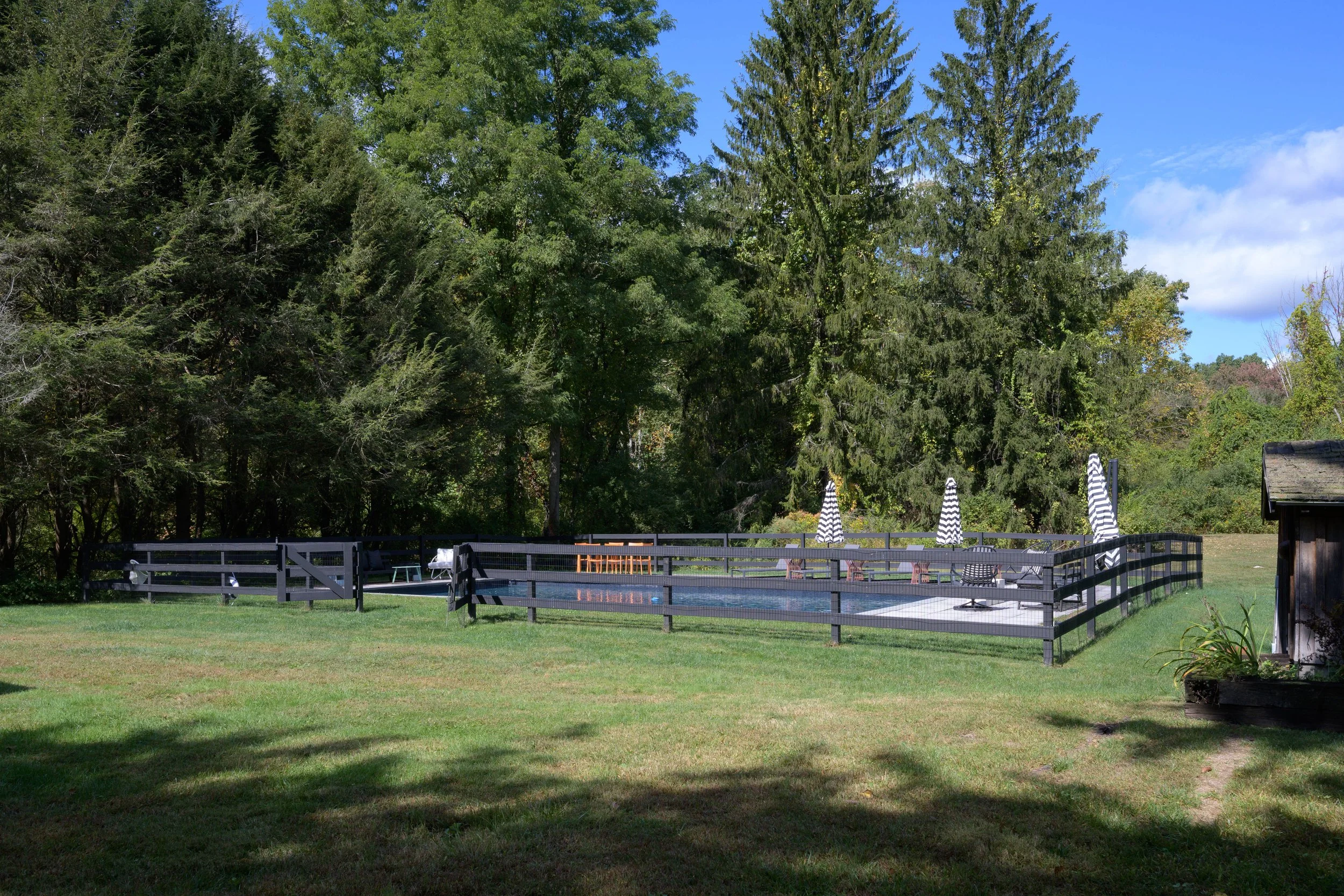 DSC_0976.jpg