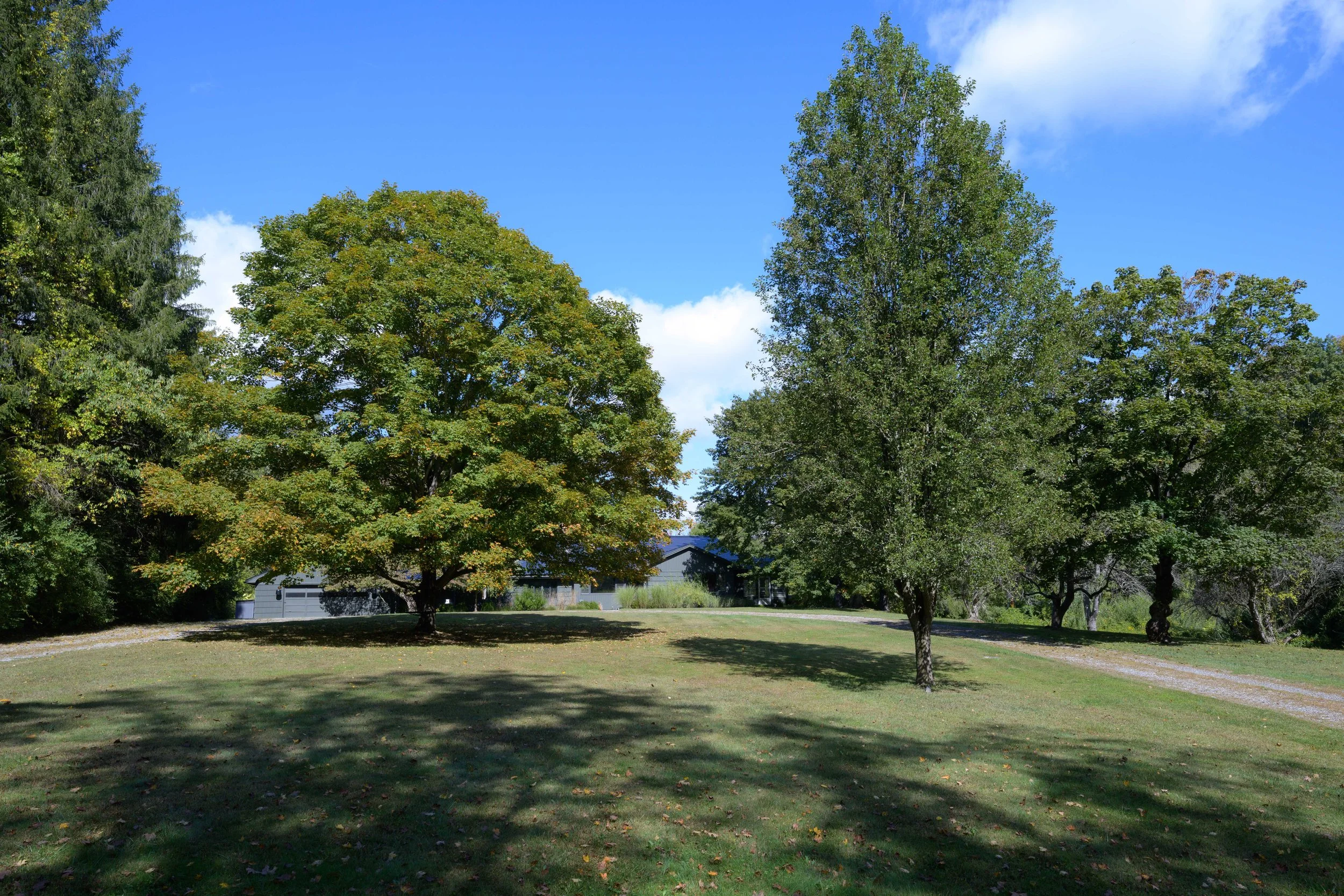 DSC_0833.jpg
