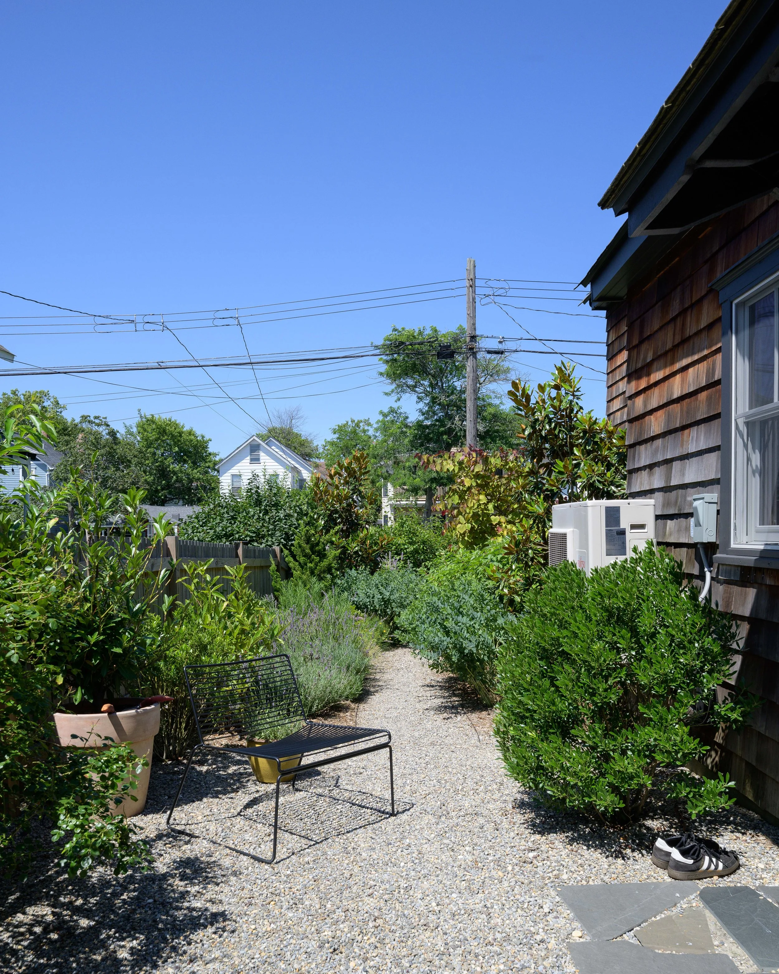 DSC_8031.jpg