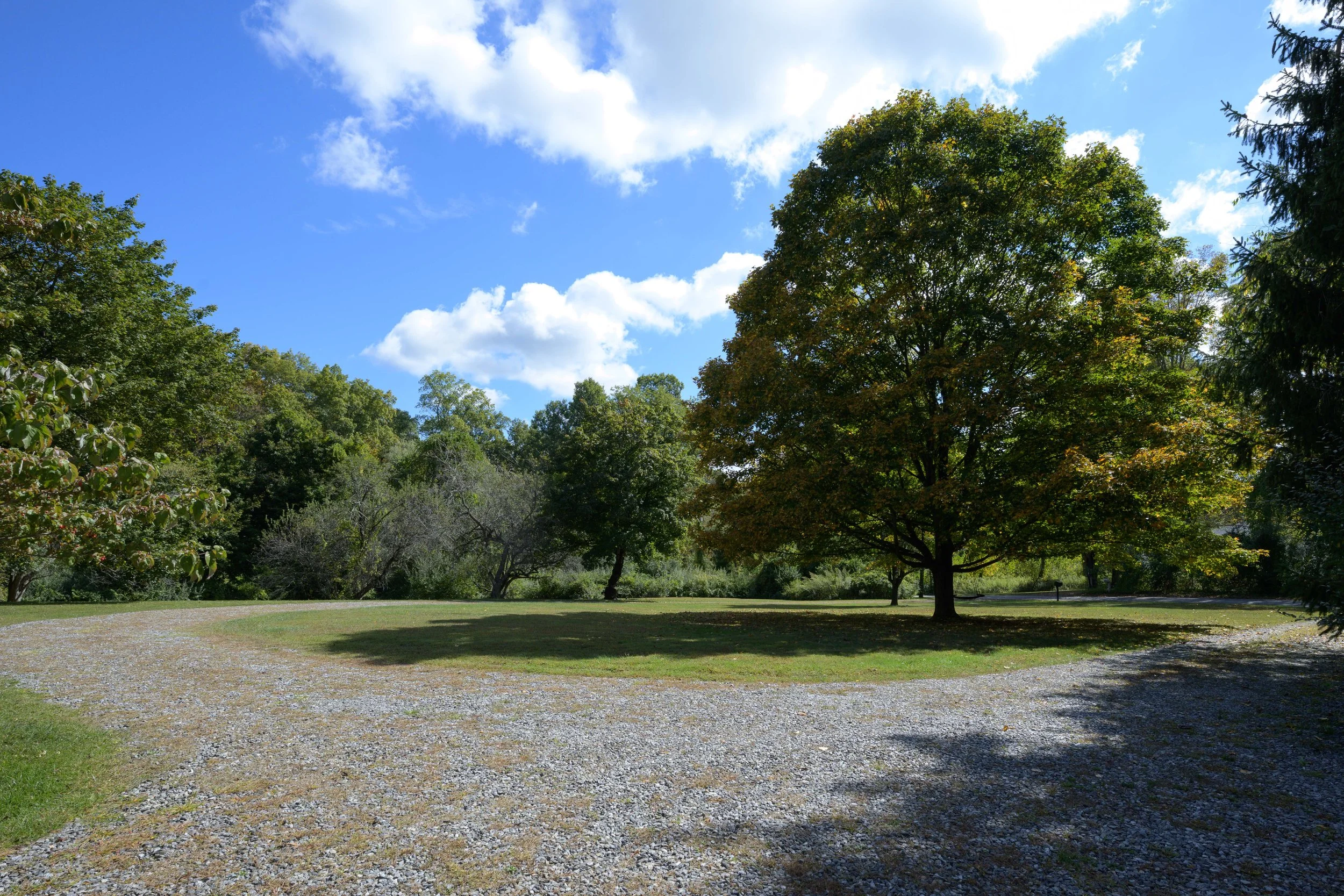 DSC_1026.jpg