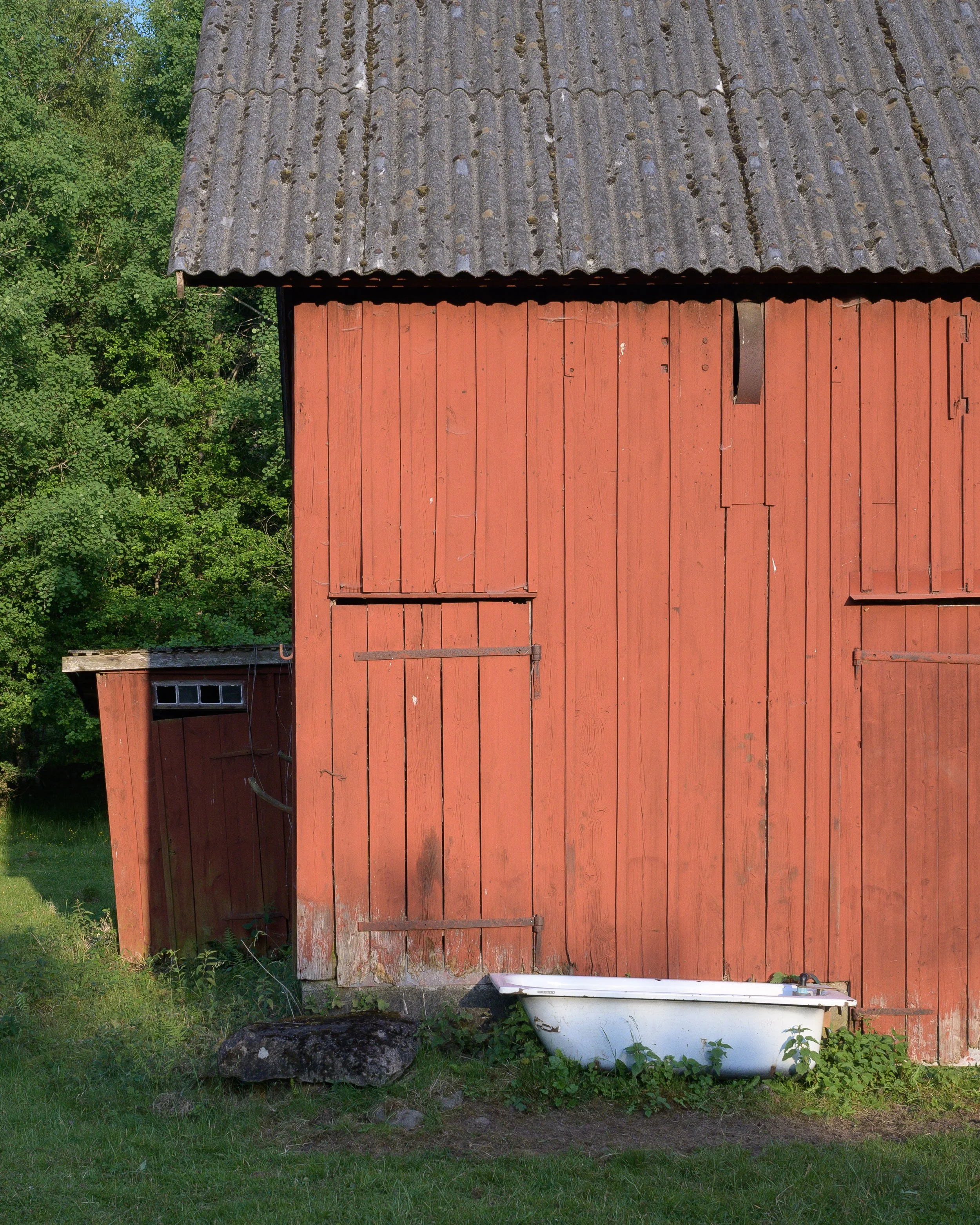 DSC_3295.jpg