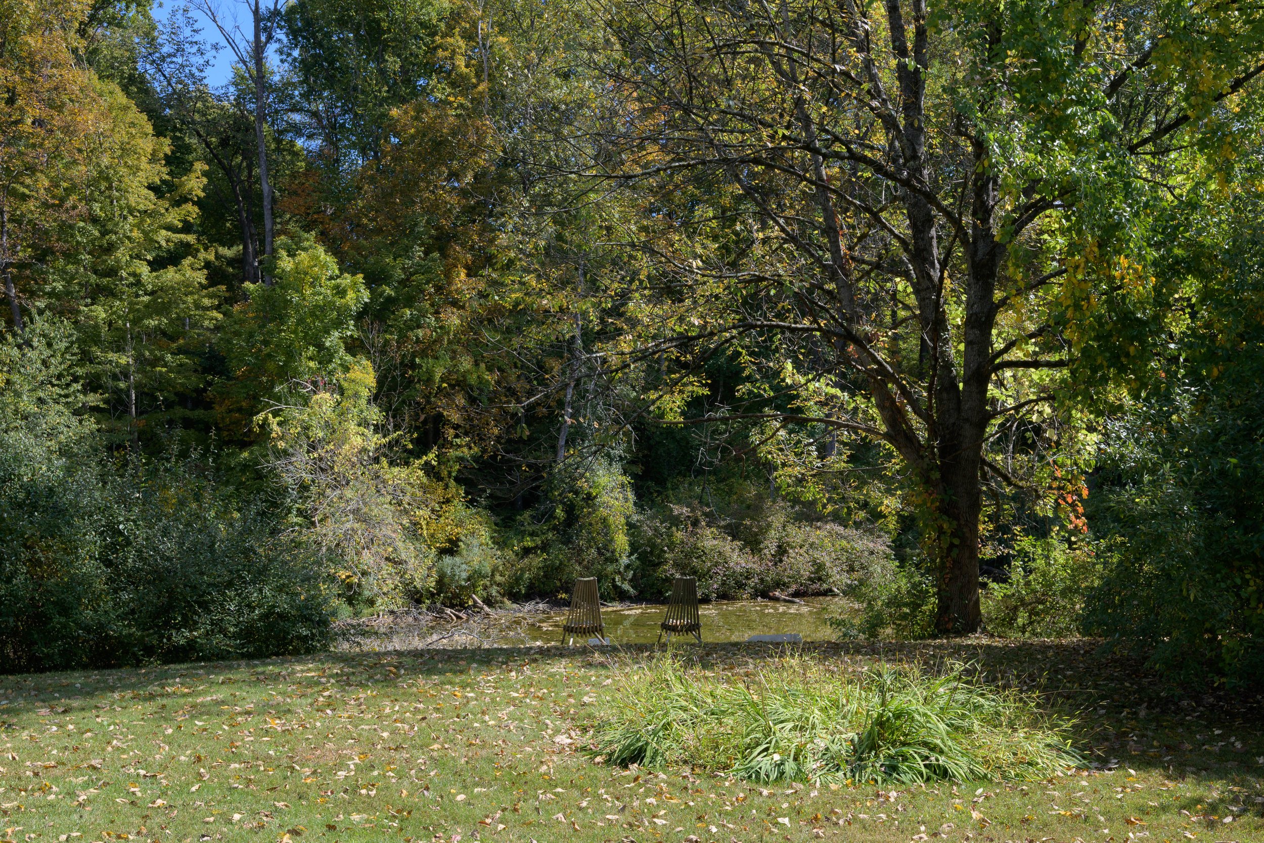 DSC_0889.jpg