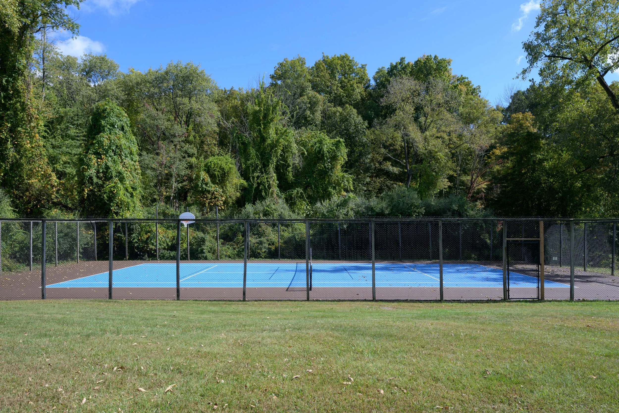 DSC_0907.jpg