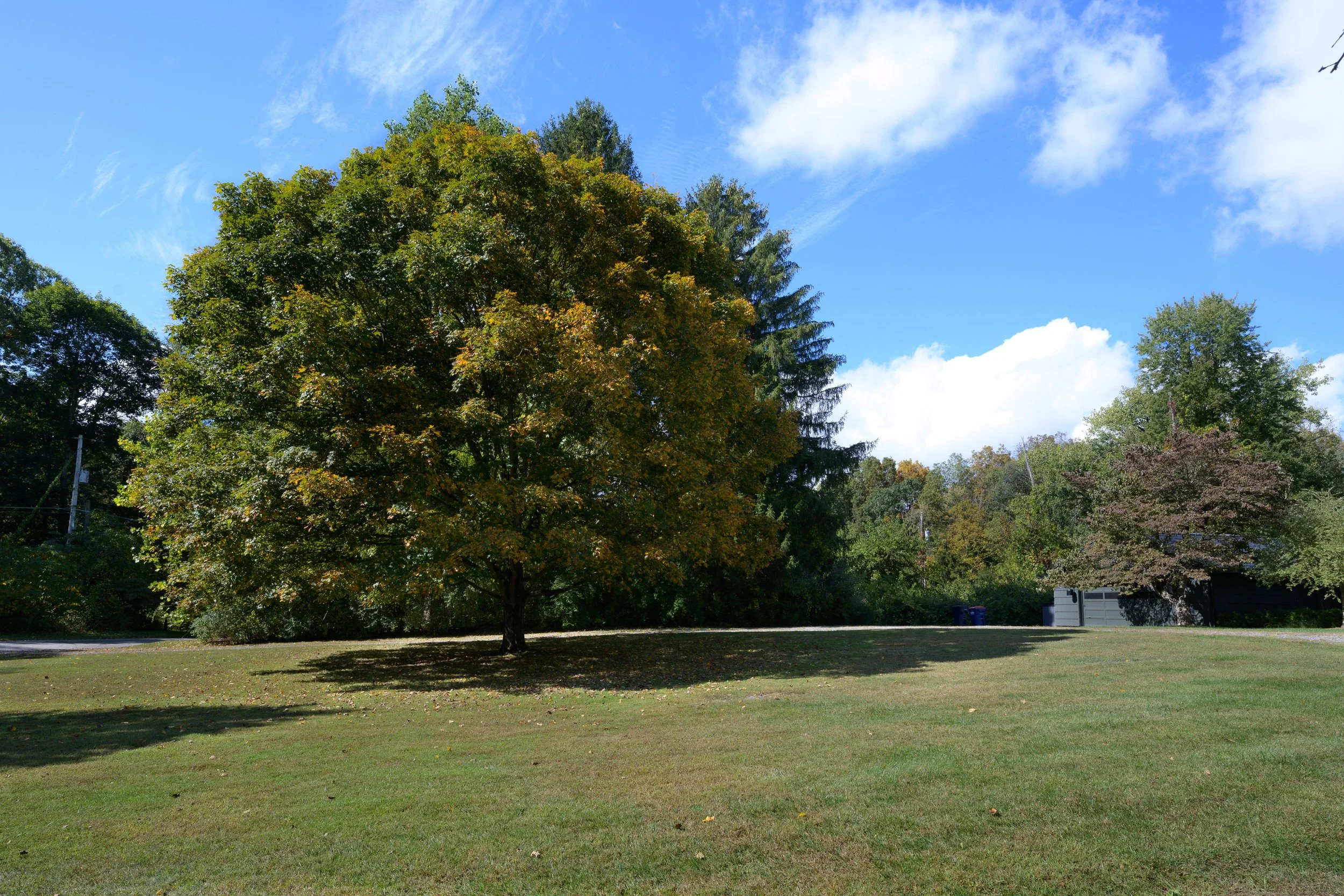 DSC_0857.jpg