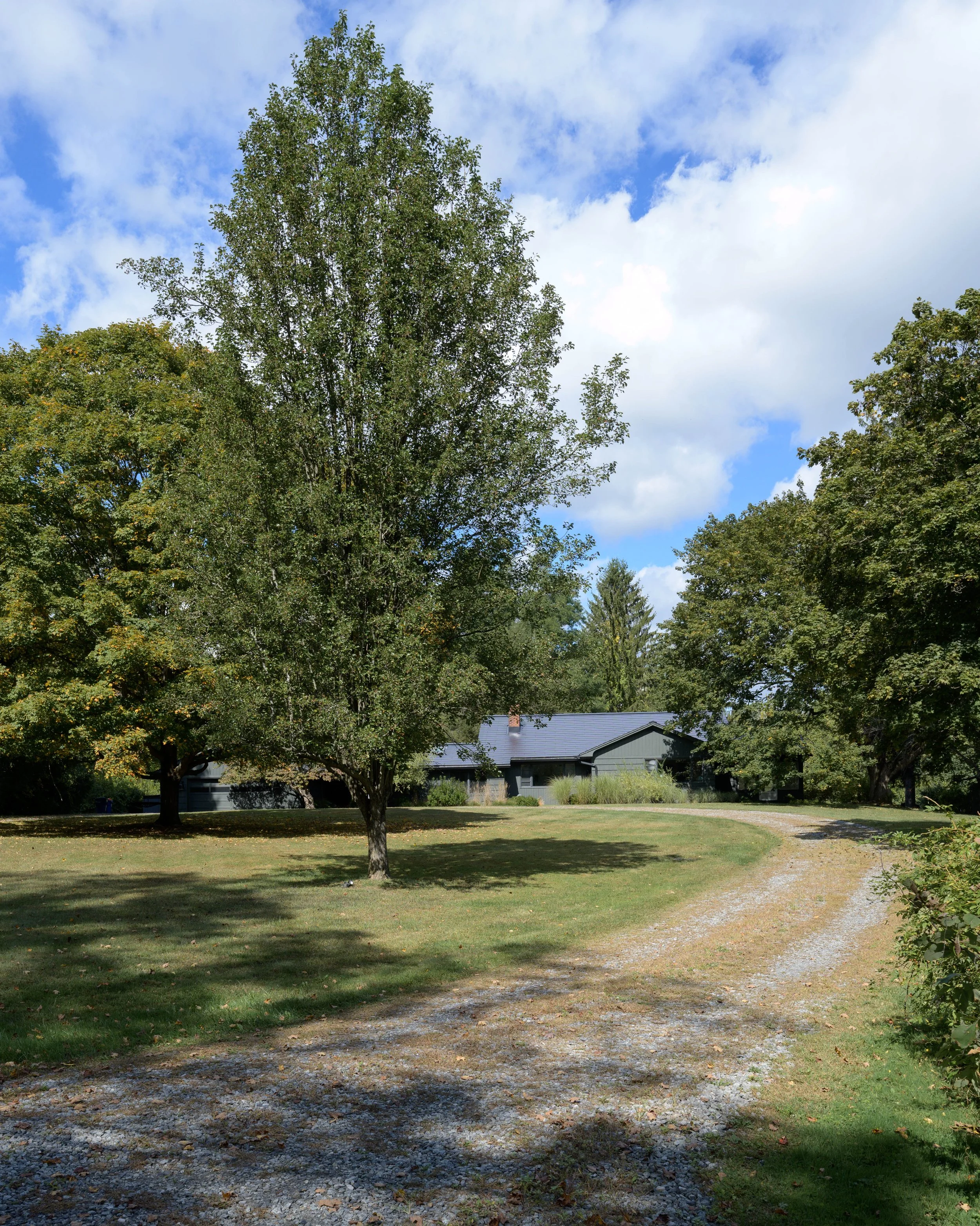 DSC_1066.jpg