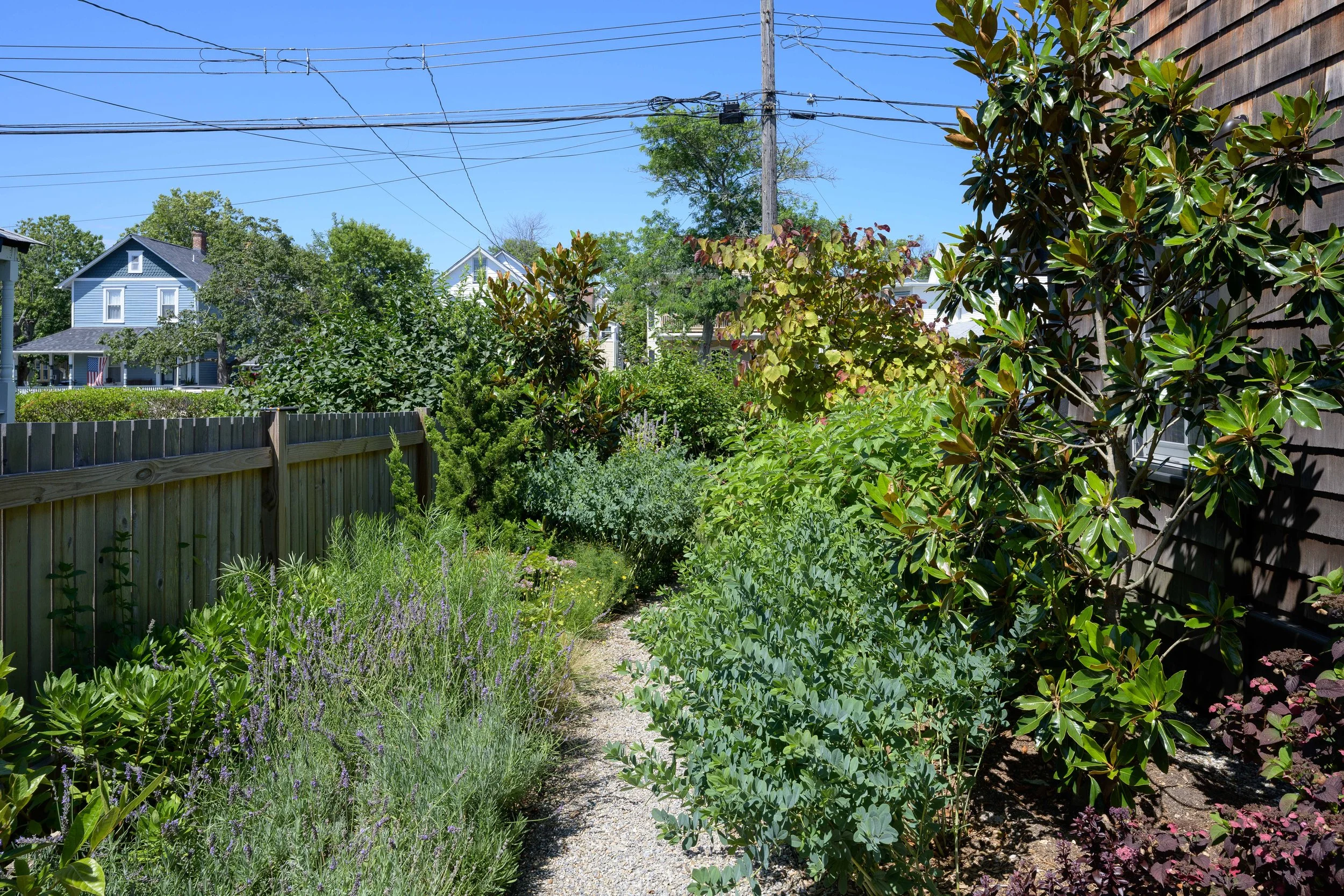 DSC_8035.jpg