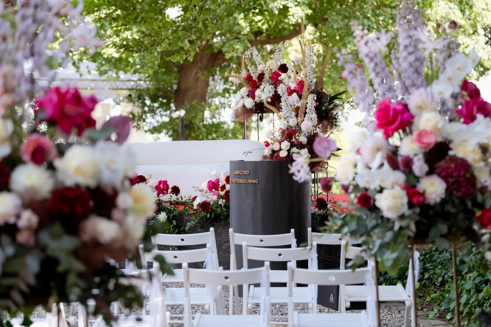 WhatsApp Image 2025-09-30 at 21.56.36.jpeg