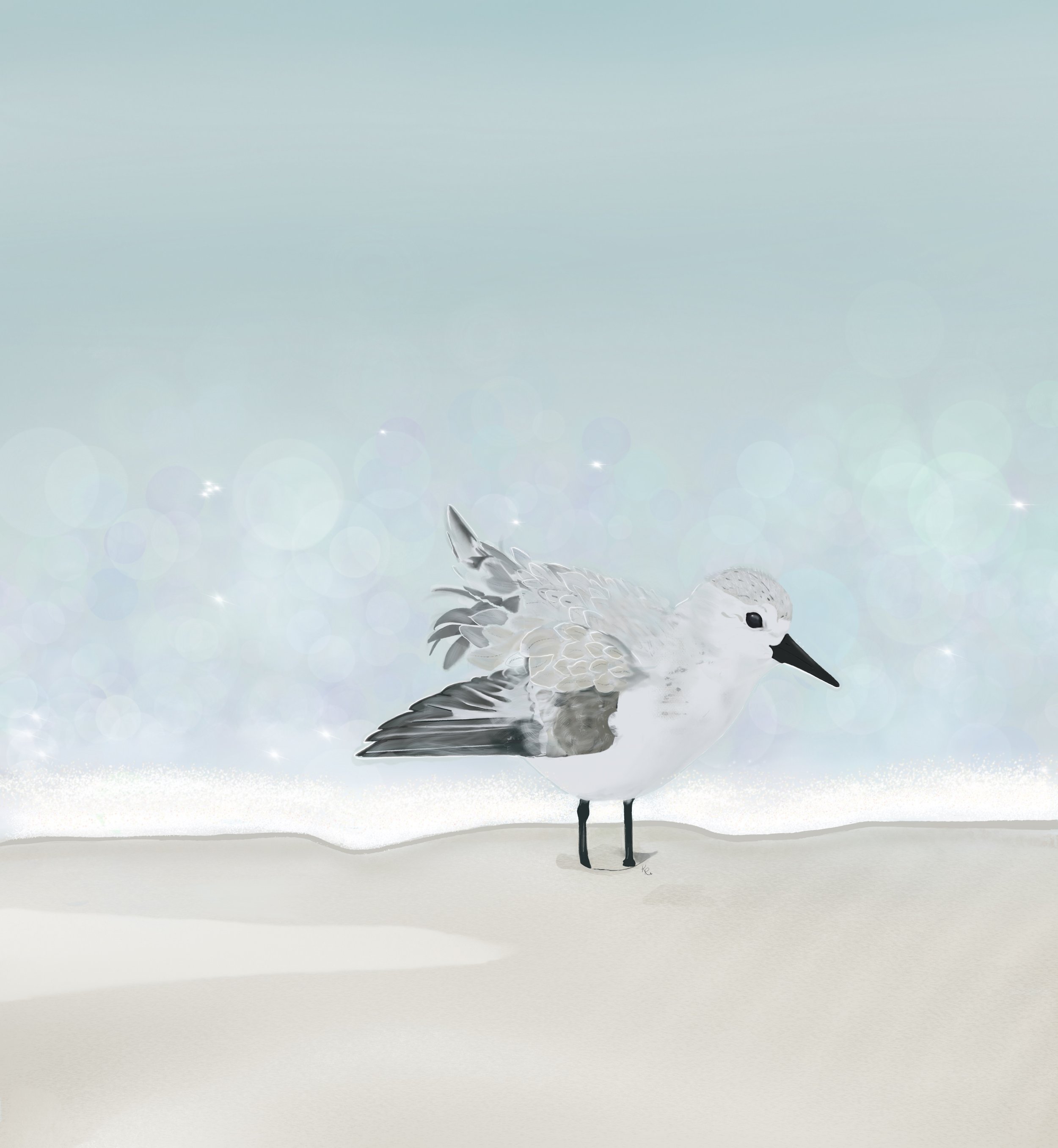 Untitled_Artwork.jpeg