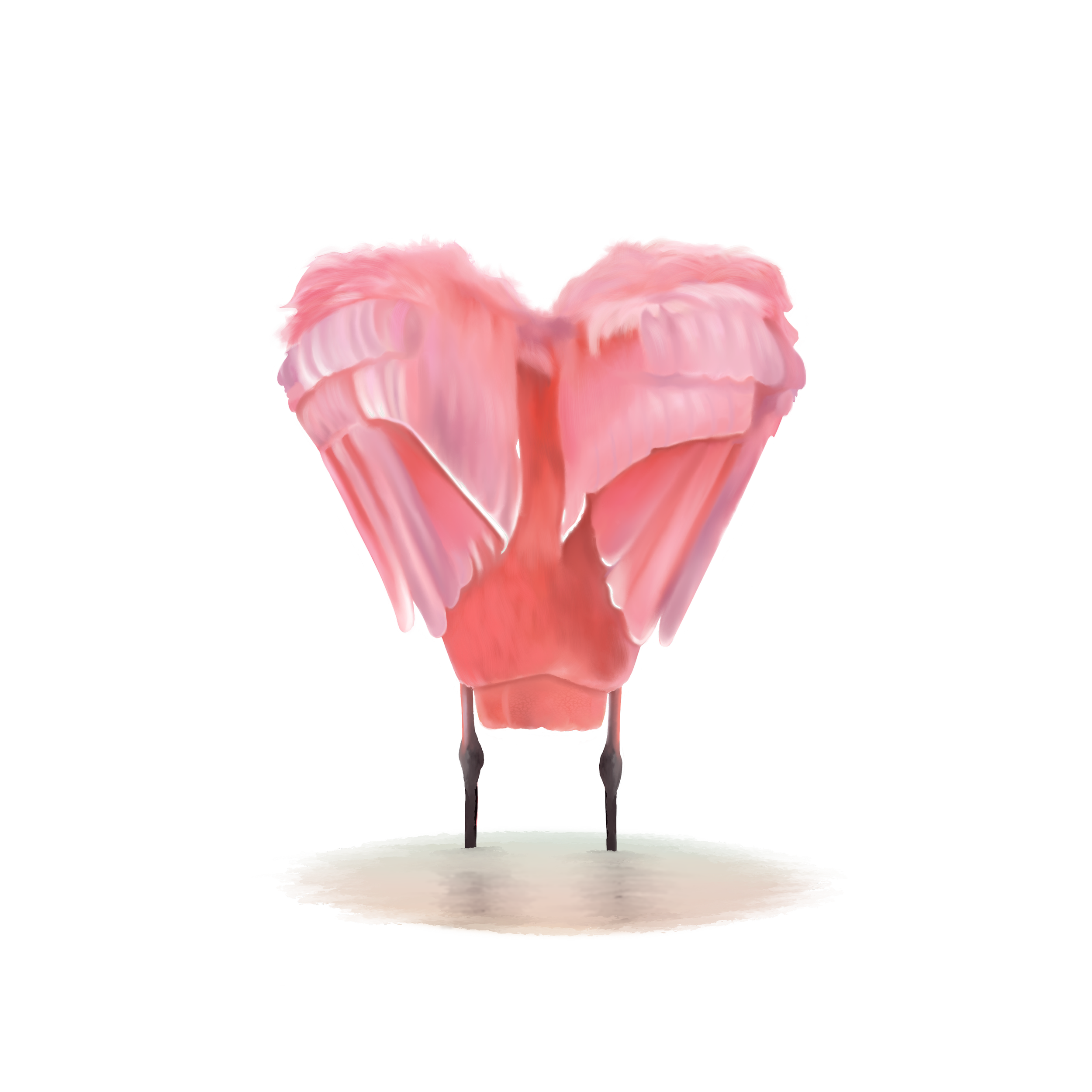 Love the Pink Spoonbill Tea Towel