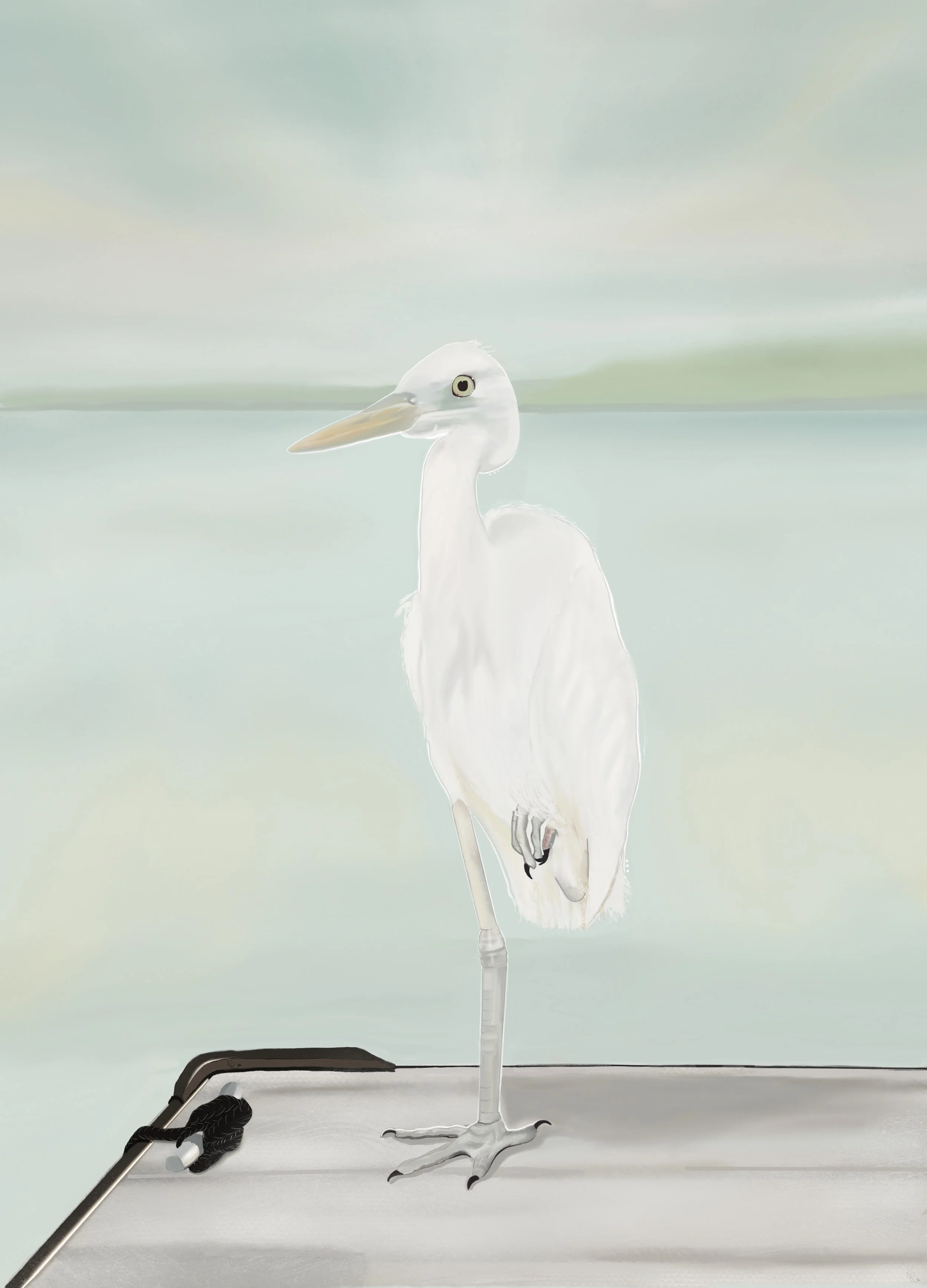 Peaceful Daze White Egret