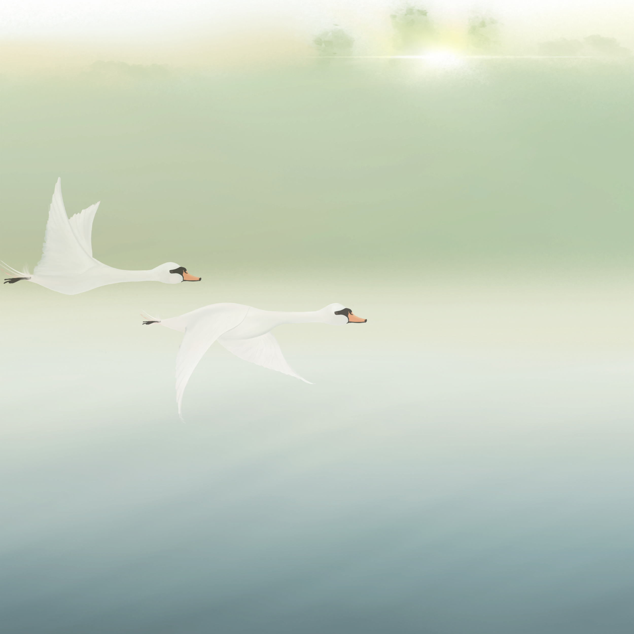 IMG_7479.png