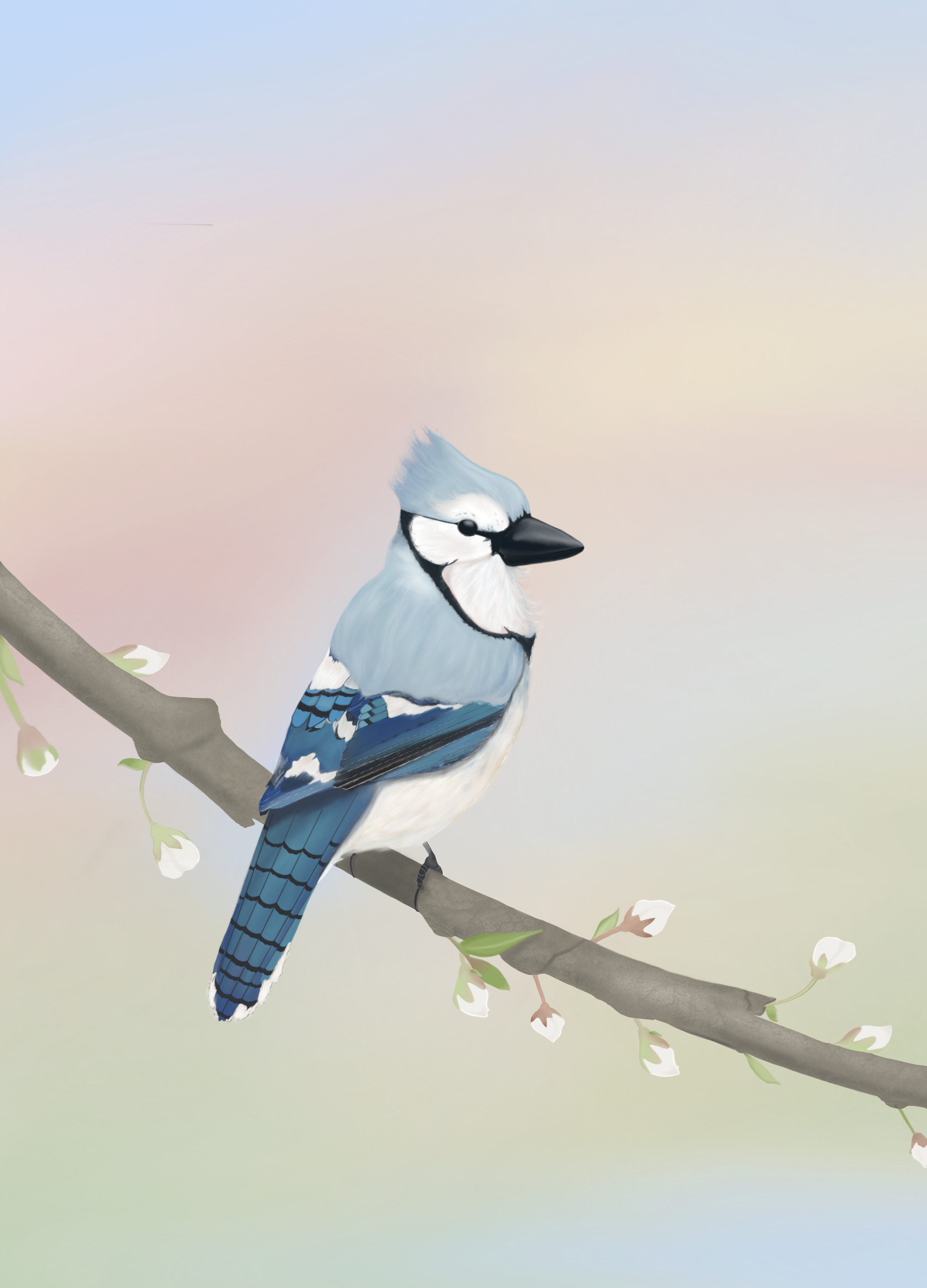 Joyful in Hope Bluebird