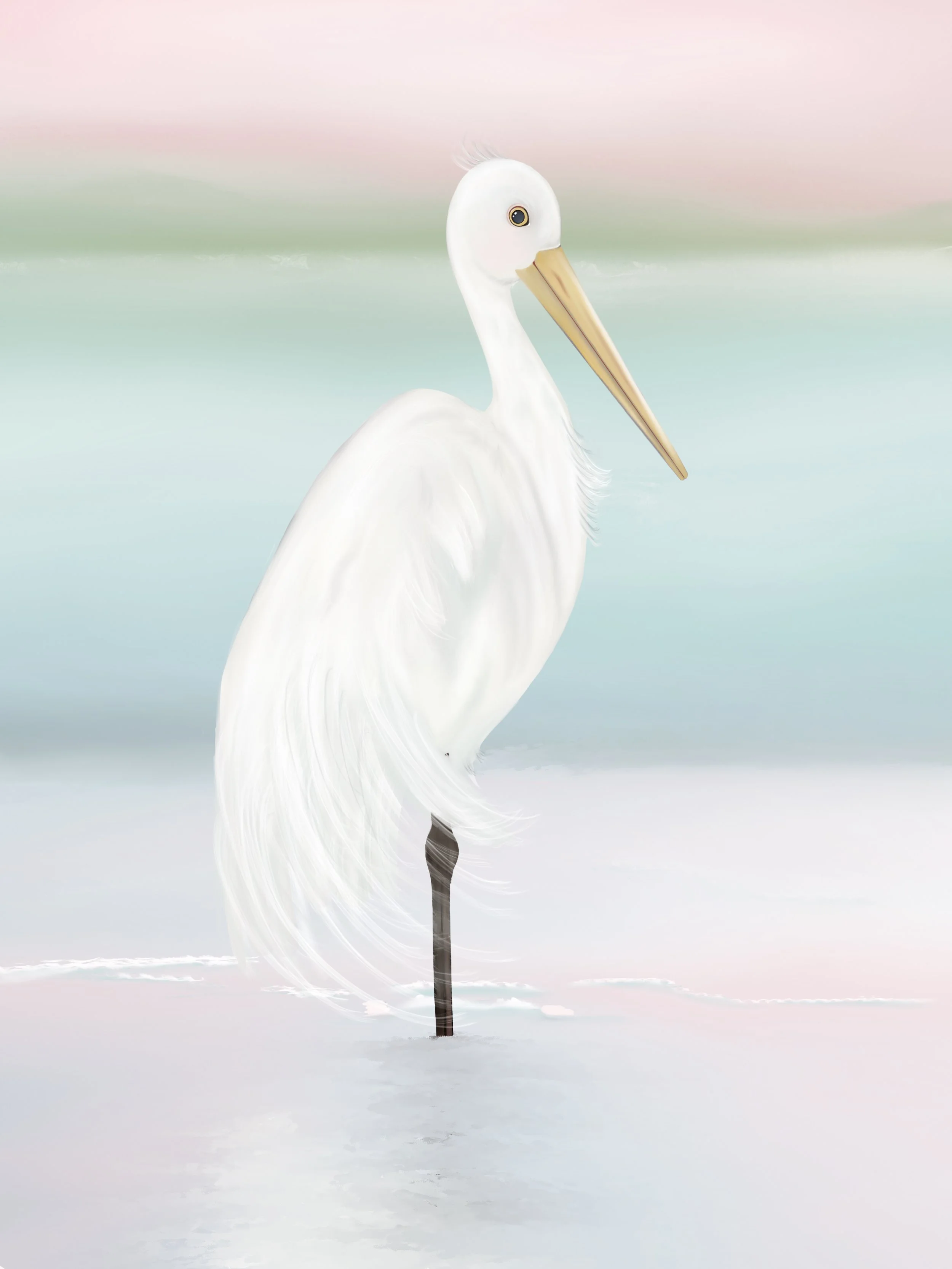 Soft and Sweet Egret