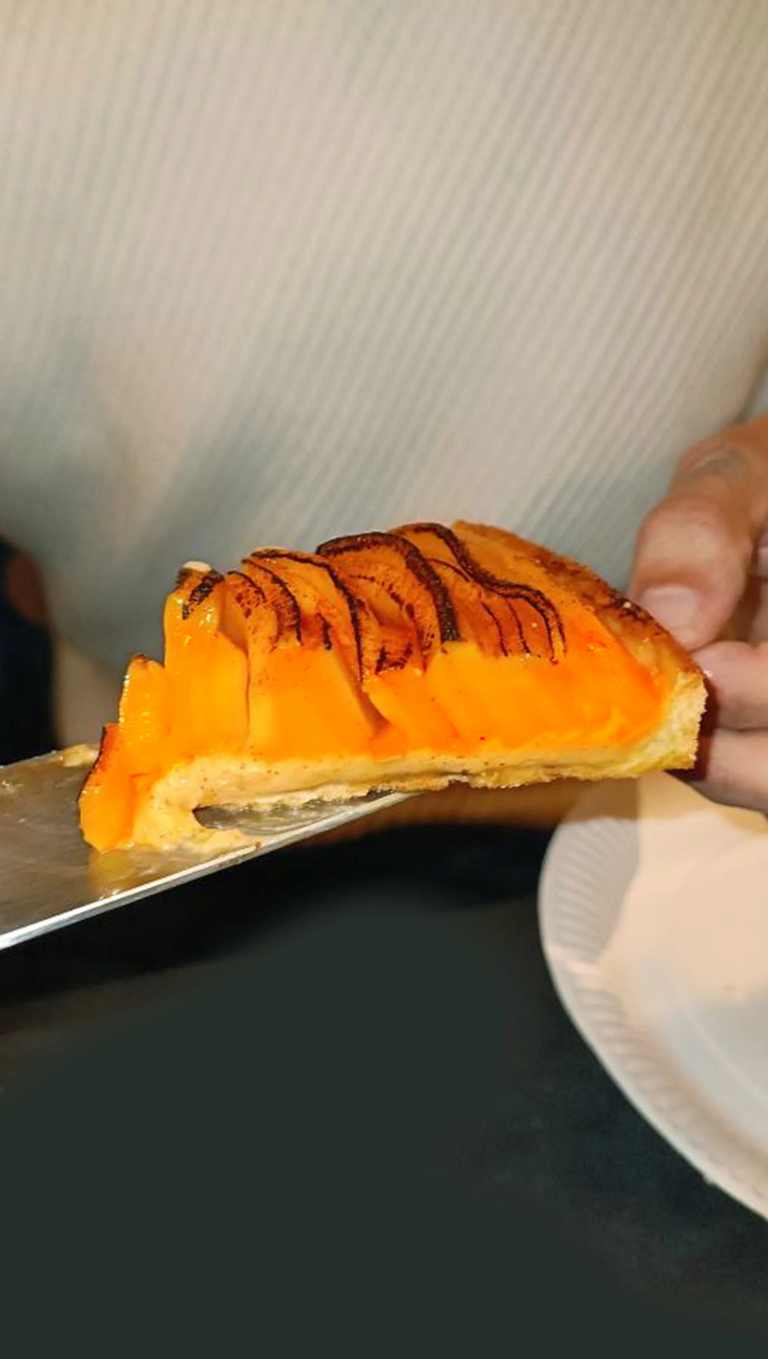 TARTE_MANGUE3.jpg
