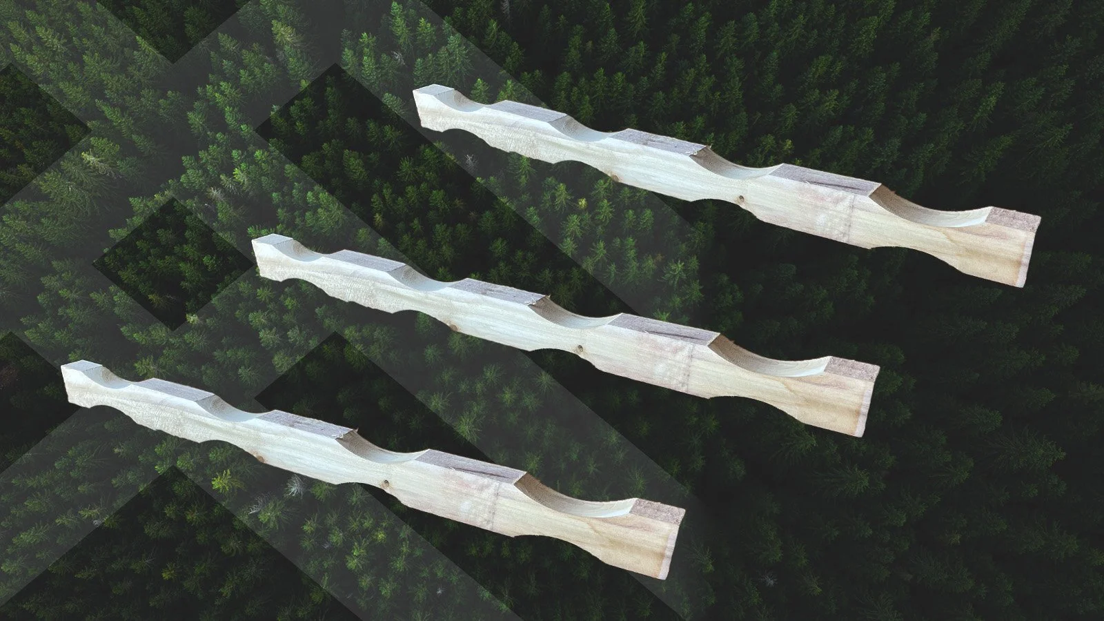 Raggle Sticks 101: What They Are and Why They Matter