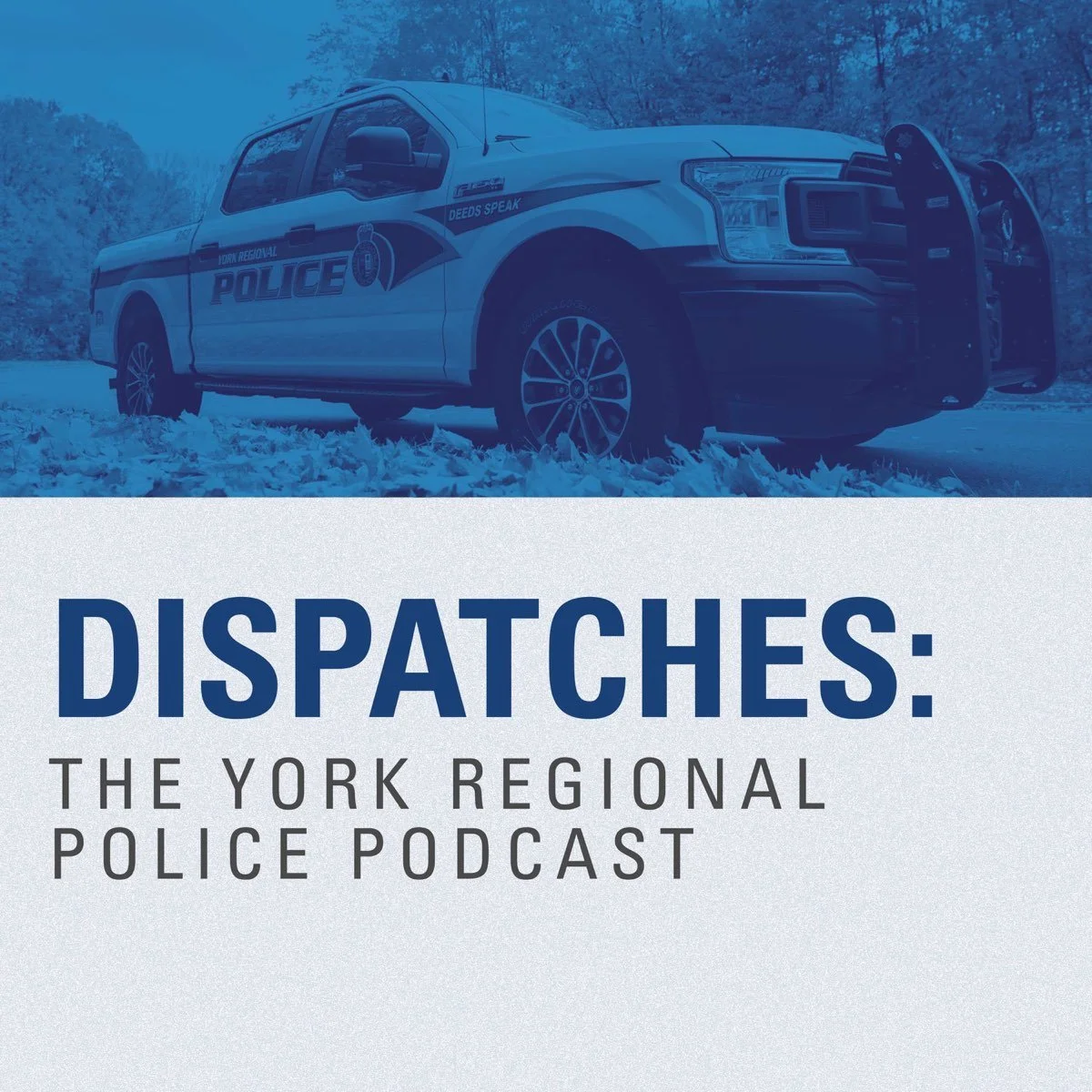 1200x1200 dispatches york regional podcast YRP.jpg