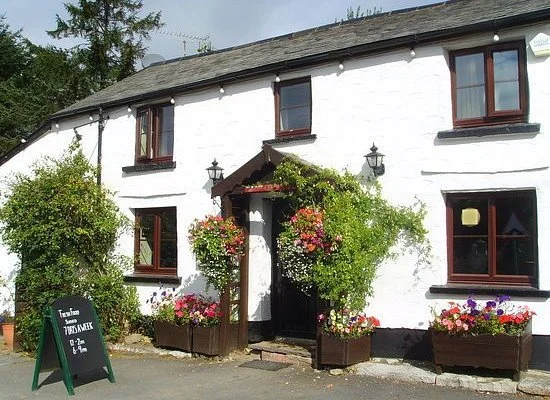 Black Venus Pub