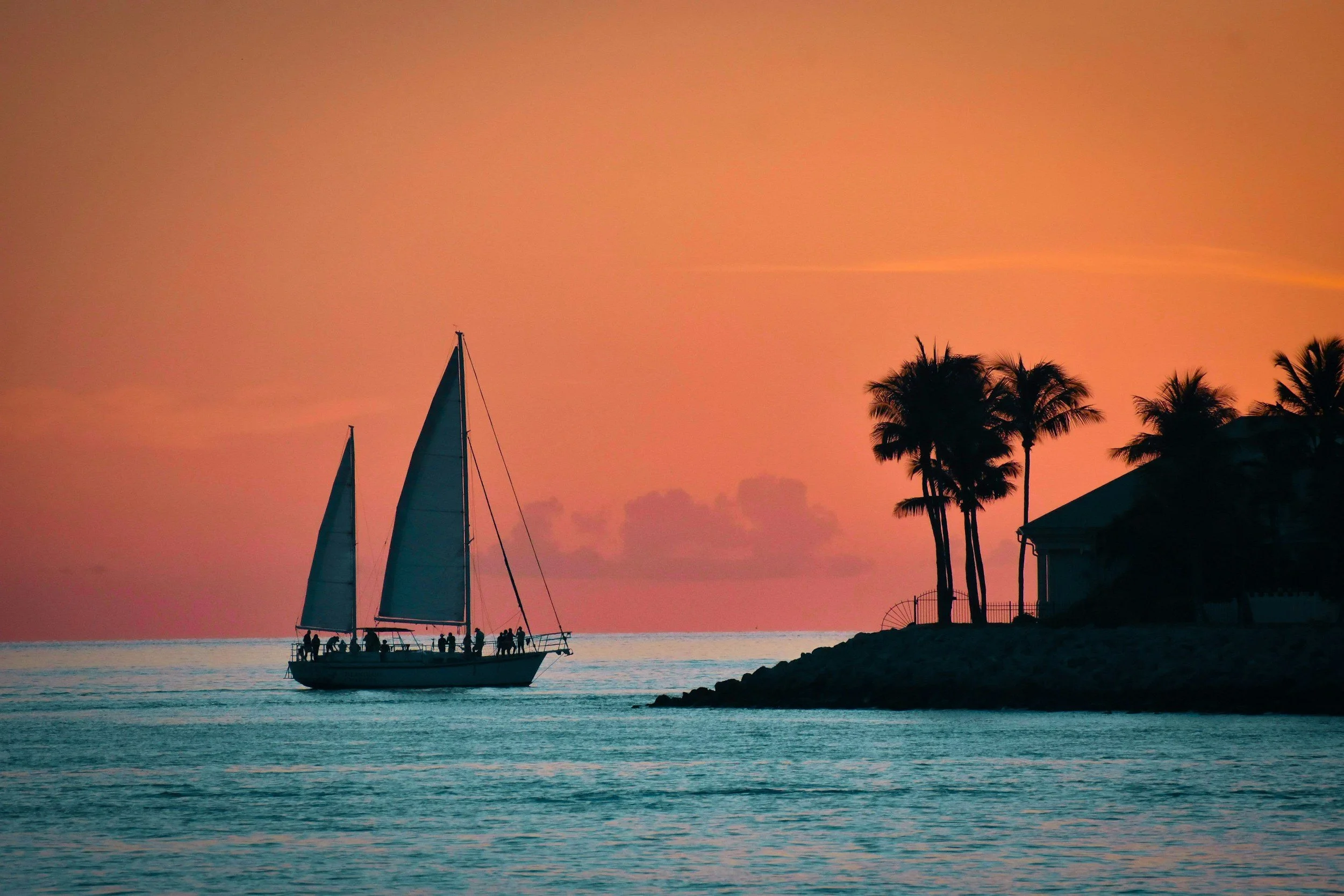 Clinical Intensive: Advanced Therapies in Paradise