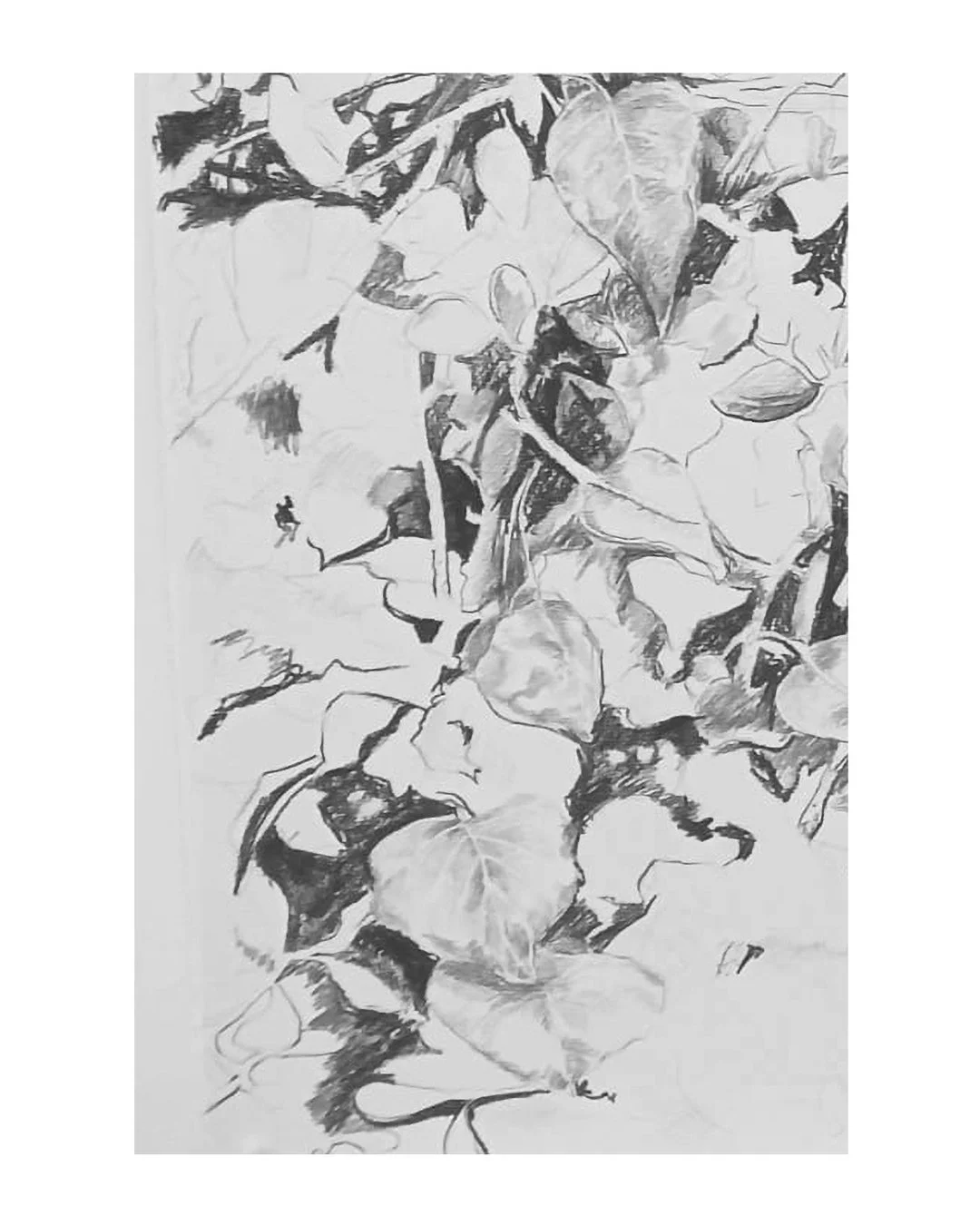 ALBERTO ODERIZ_0004_Layer 9 copy 3.jpg