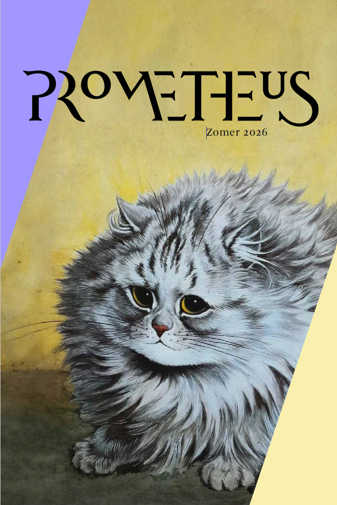 Zomeraanbieding 2026