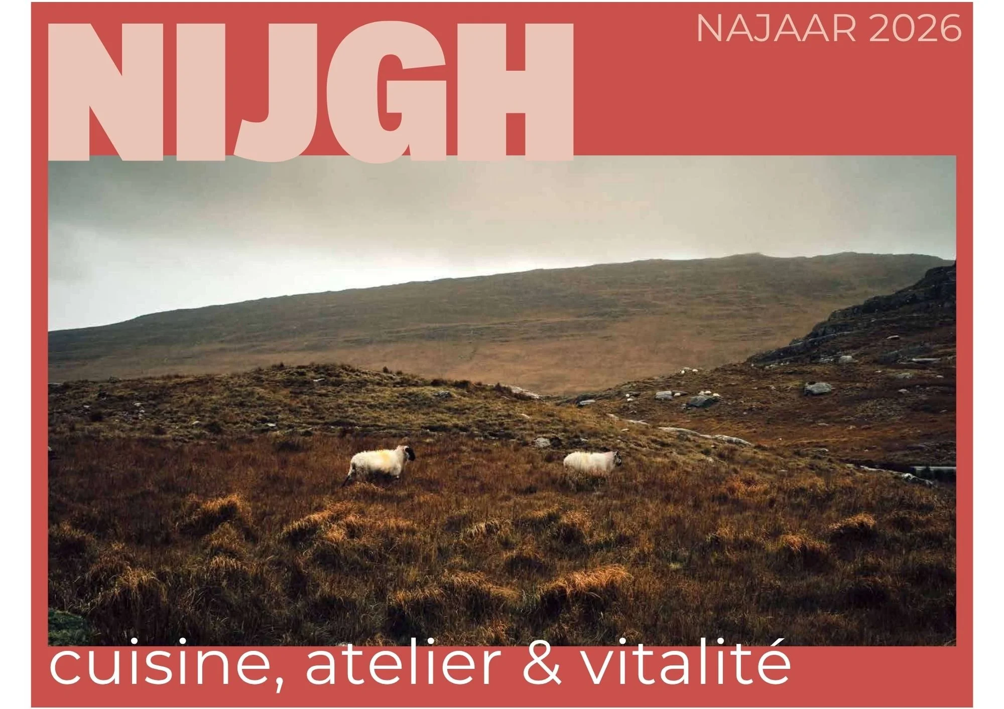 Uitgeverij Nijgh Cuisine, Atelier &amp; Vitalité
