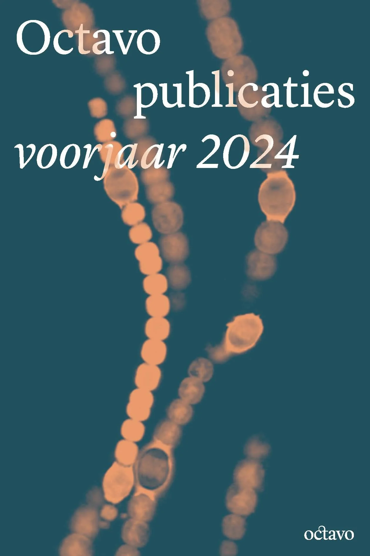 Octavo voorjaar 2024