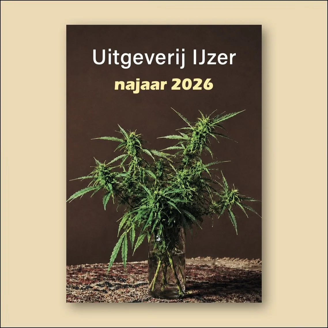 IJzer